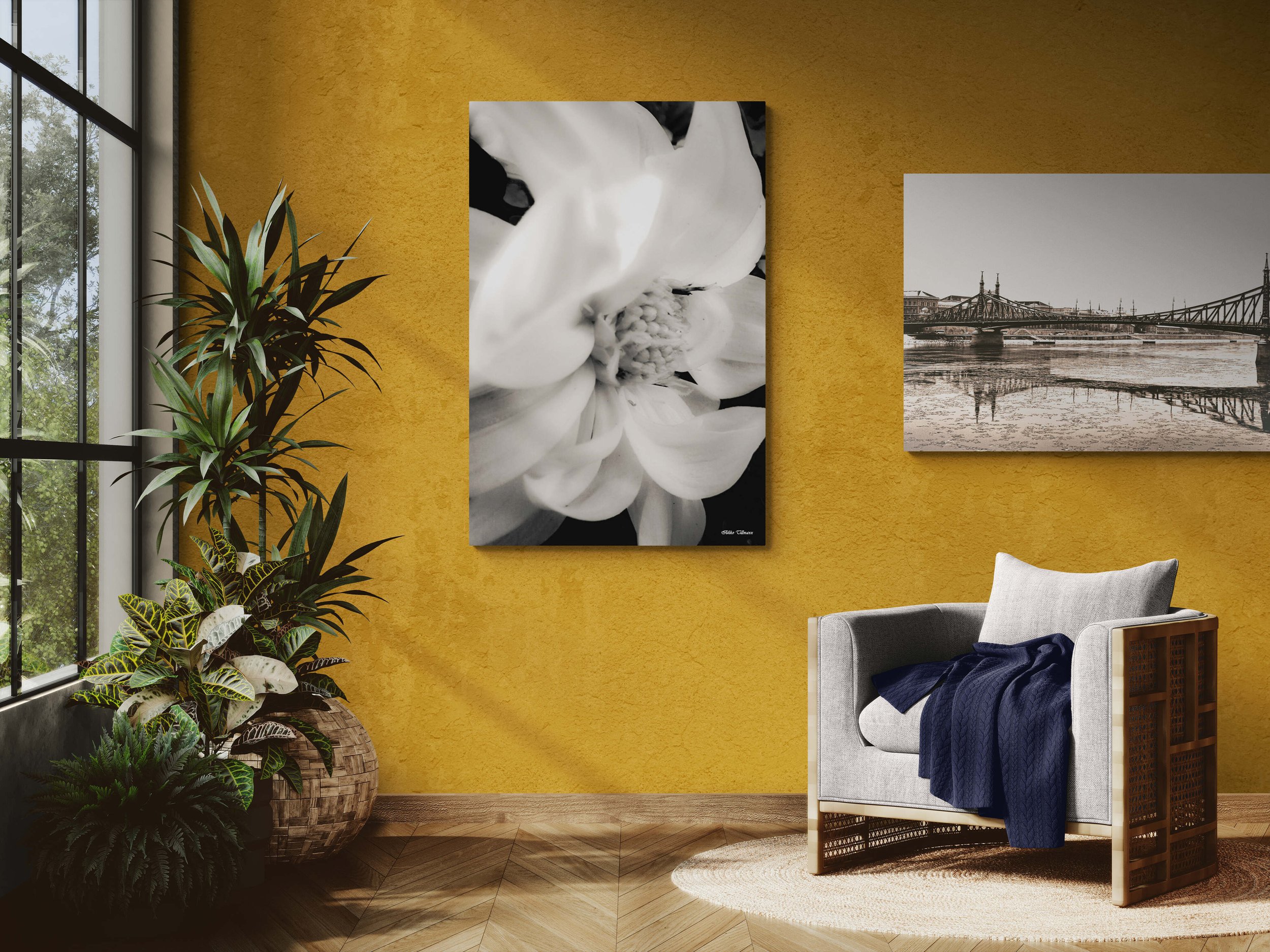 sunlit-room-with-an-armchair-and-tropical-plants (8).jpg