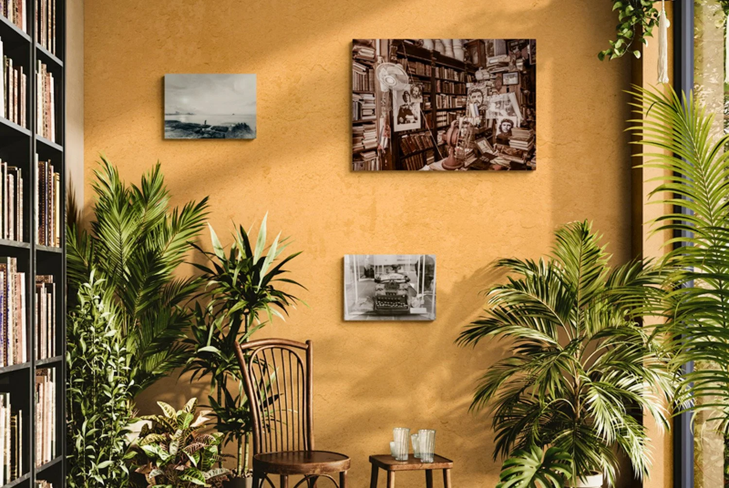 warm-room-filled-with-tropical-plants (9).jpg