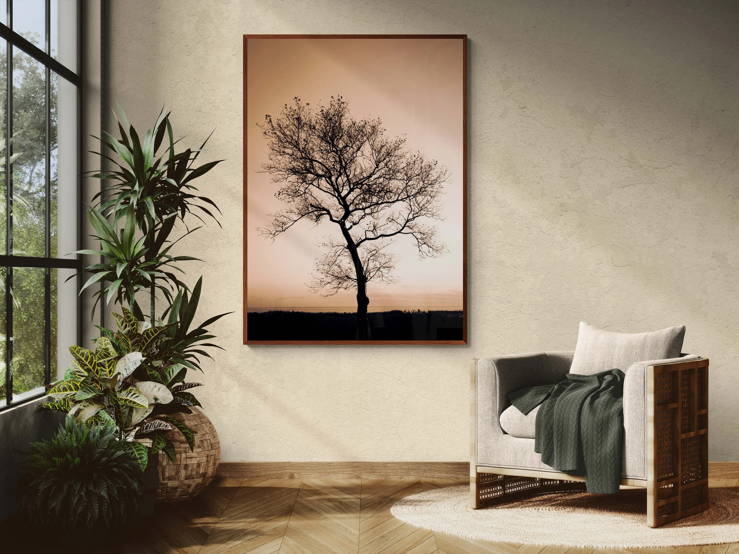 sunlit-room-with-an-armchair-and-tropical-plants (2).jpg