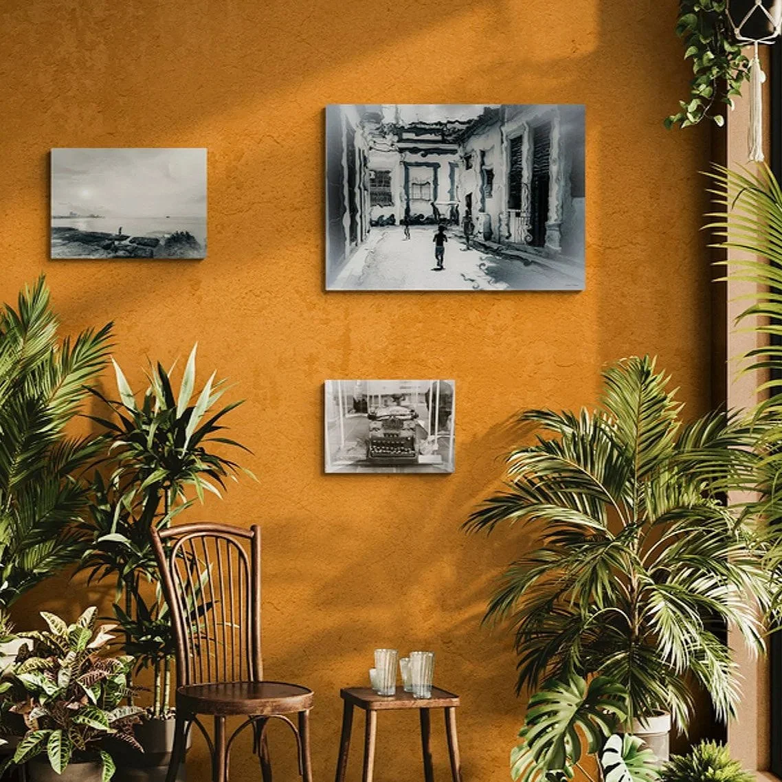 warm-room-filled-with-tropical-plants+%282%29.jpg
