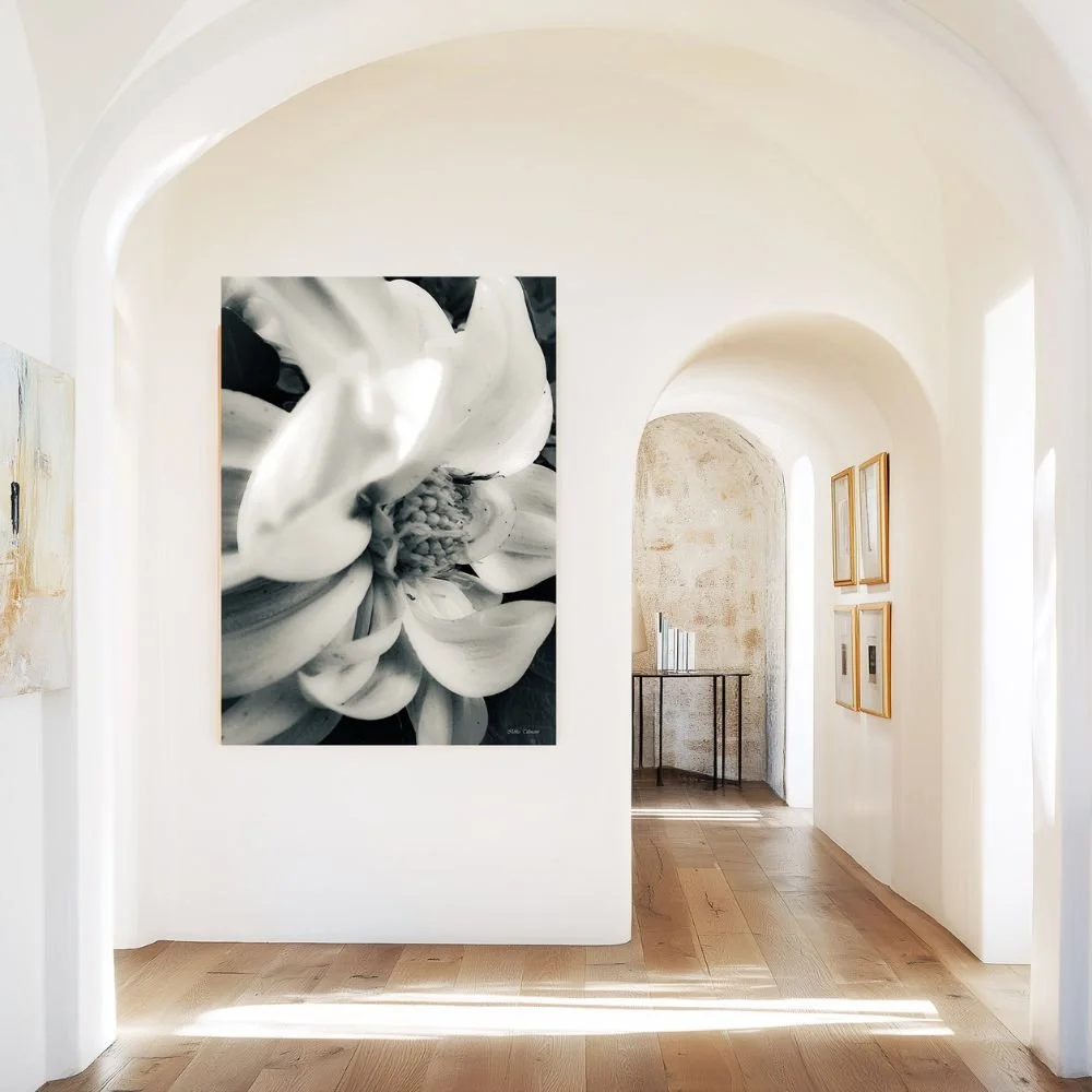 A modern art gallery with white walls, wooden floors, and framed artwork. A large black and white floral photograph is prominently displayed on the left wall. Sunlight creates lines on the floor, and a small table with books is visible in a back alco