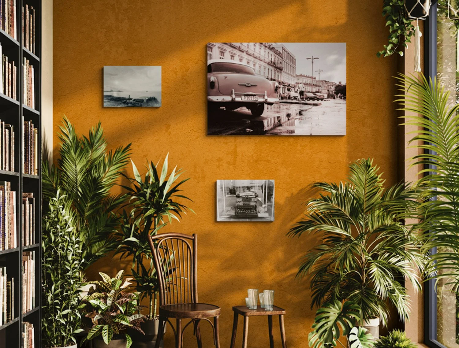 warm-room-filled-with-tropical-plants (4).jpg