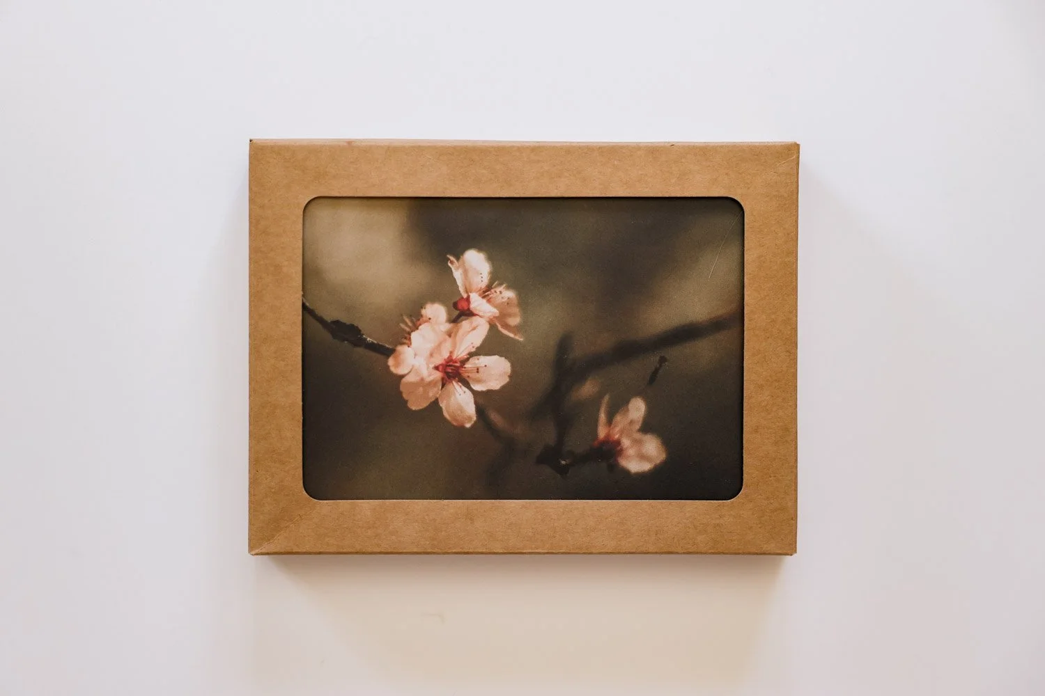 Fragility Greeting Cards
