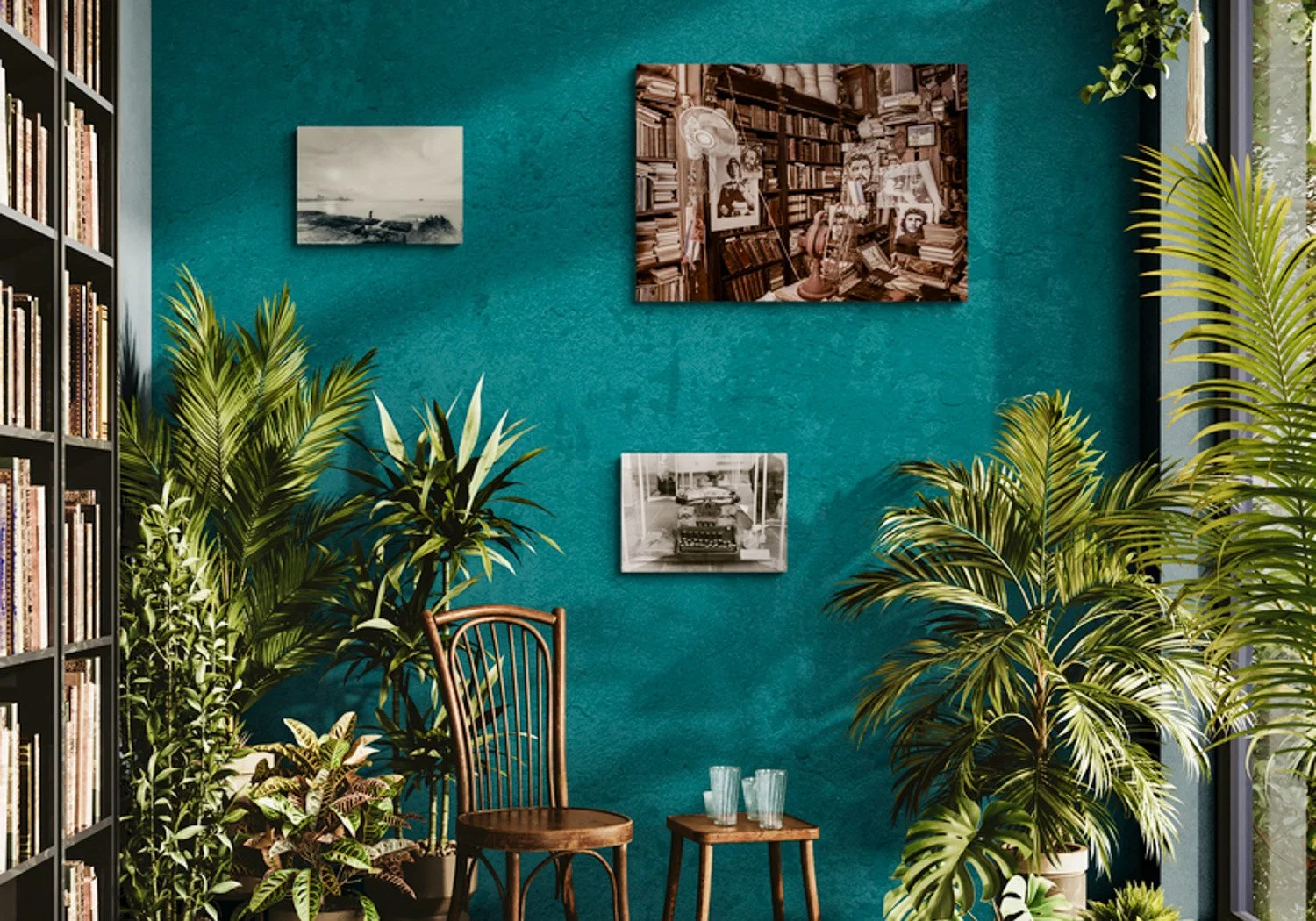 warm-room-filled-with-tropical-plants (8).jpg