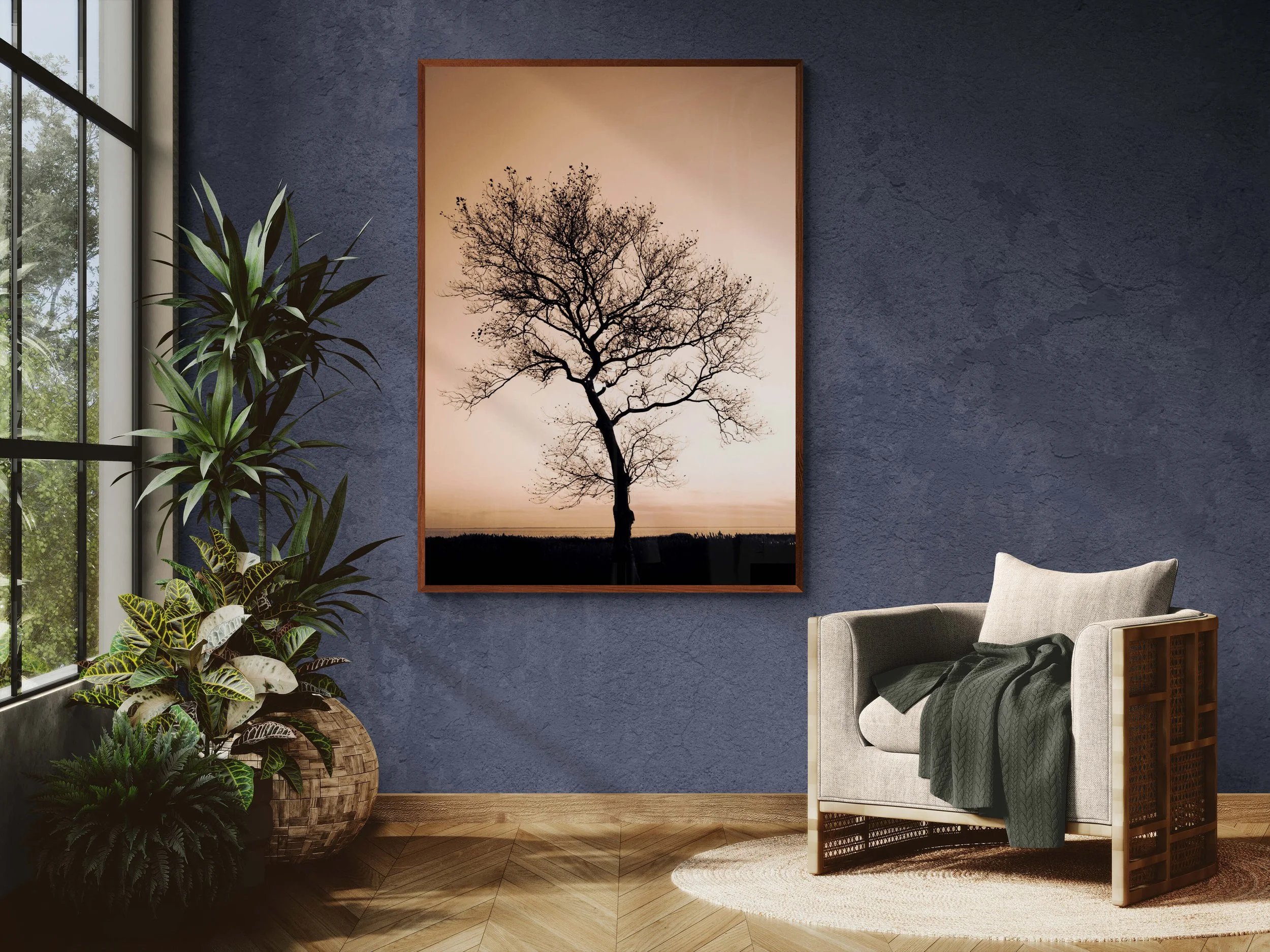 sunlit-room-with-an-armchair-and-tropical-plants (3).jpg