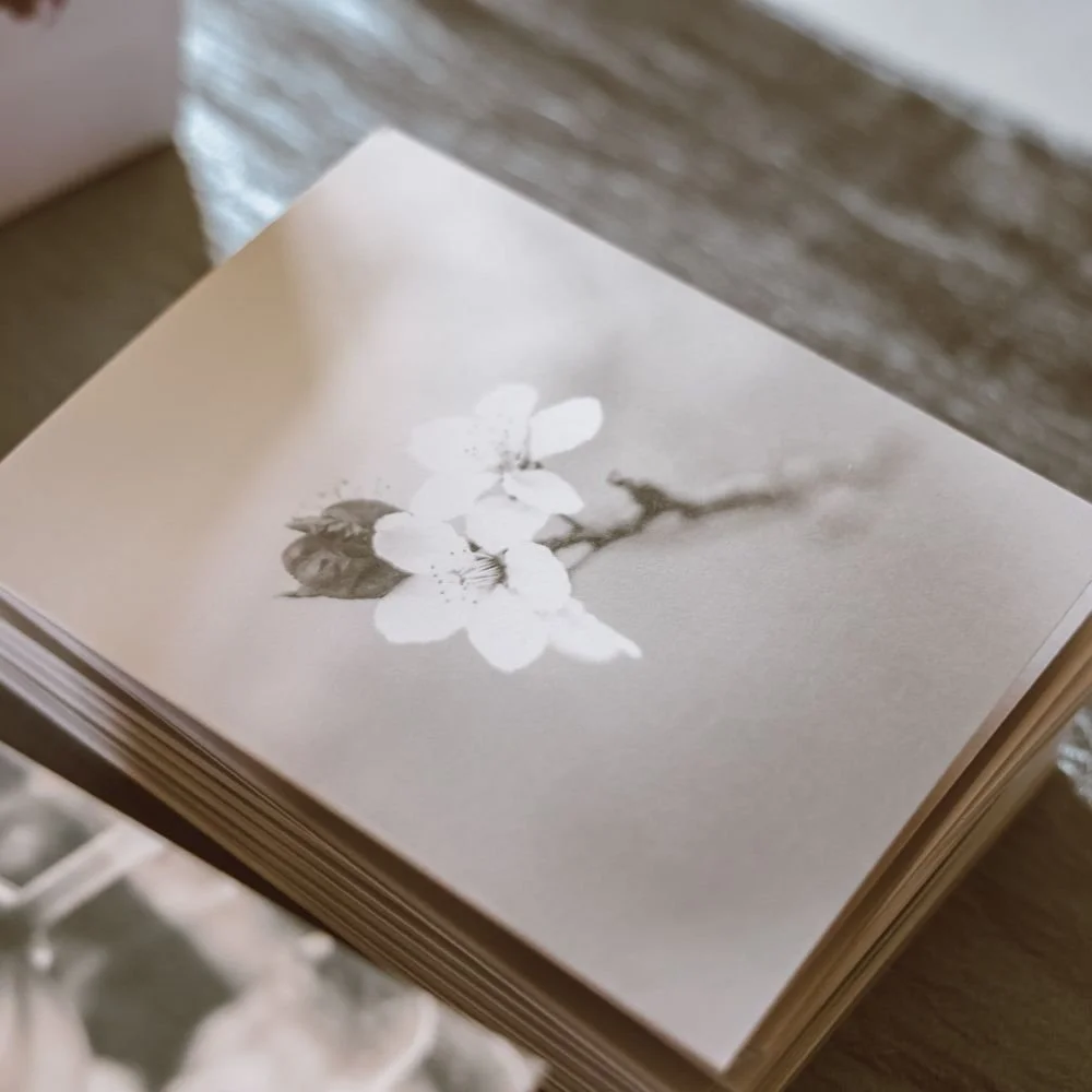Tenderness — Black and White Flower Fine Art Greeting Card (2).jpg