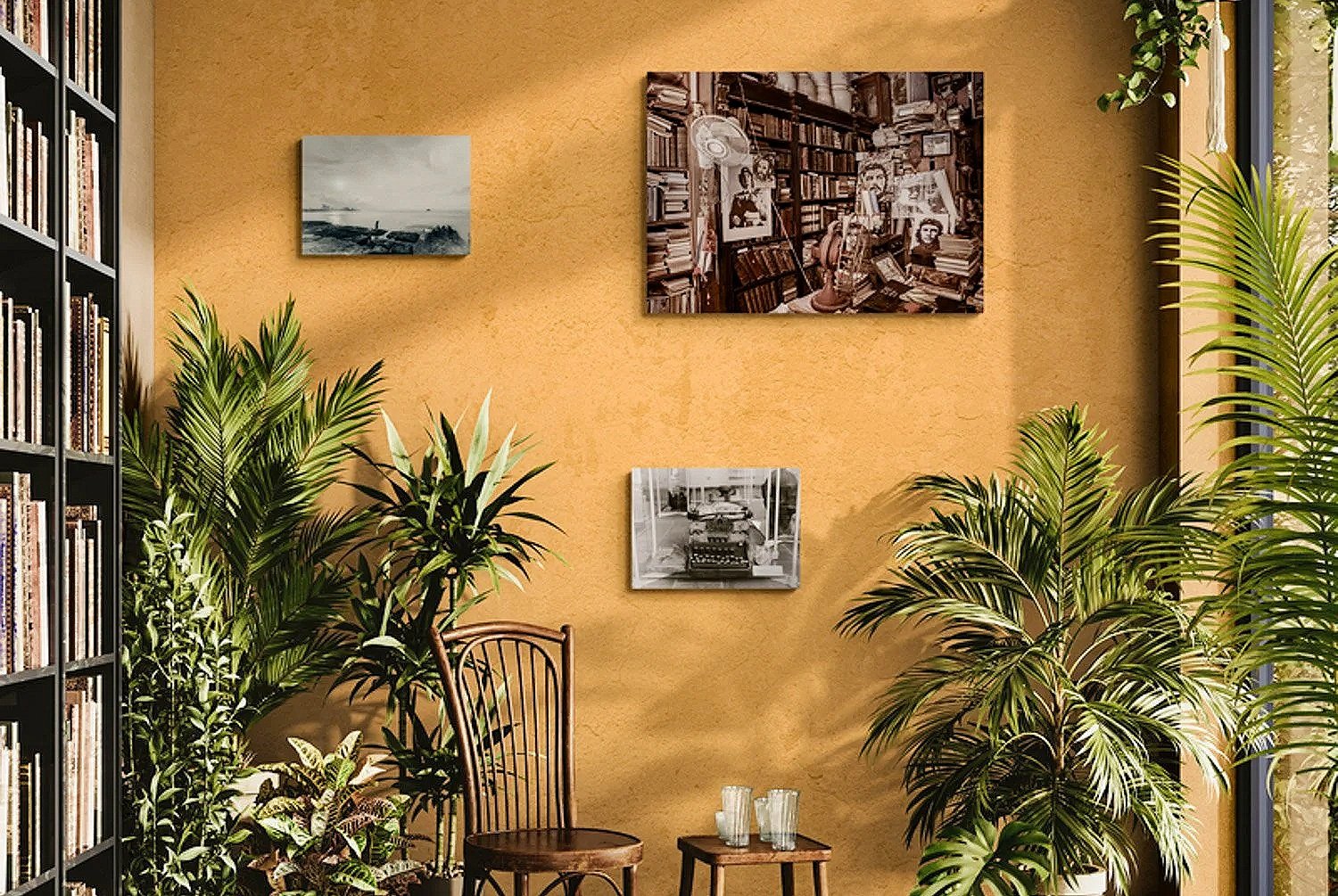 warm-room-filled-with-tropical-plants+%289%29.jpg