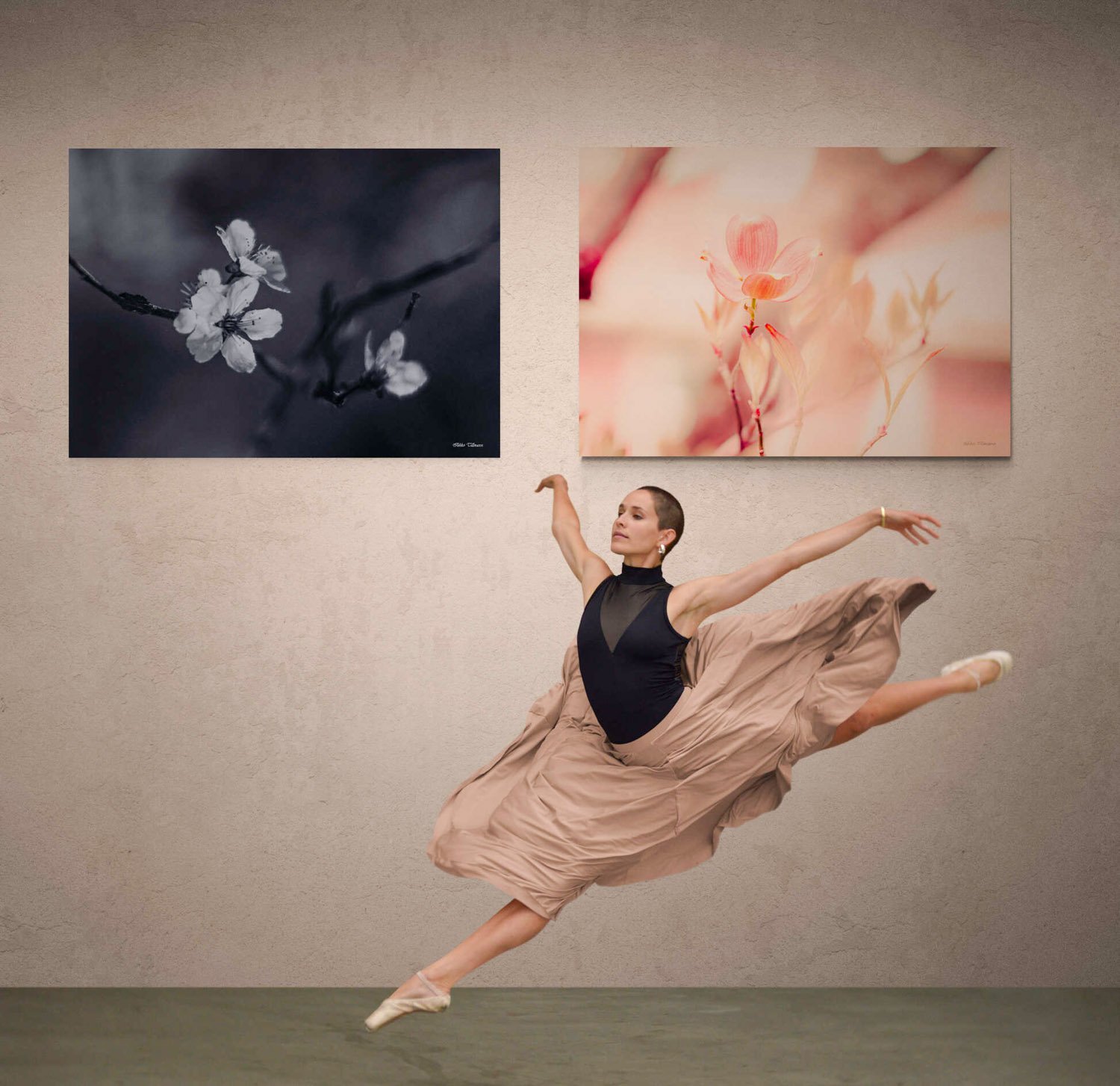 ballet-dancer-in-studio.jpg