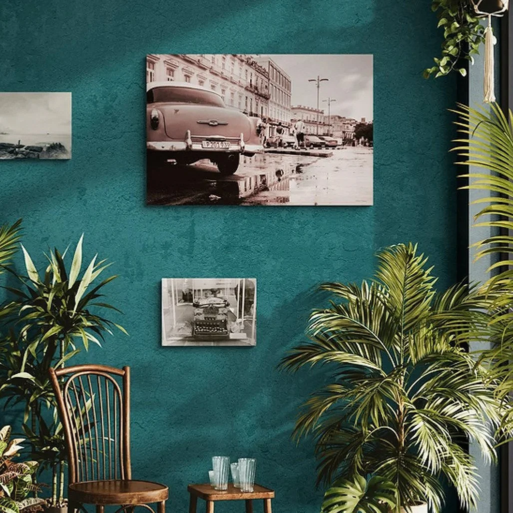 warm-room-filled-with-tropical-plants+%285%29.jpg
