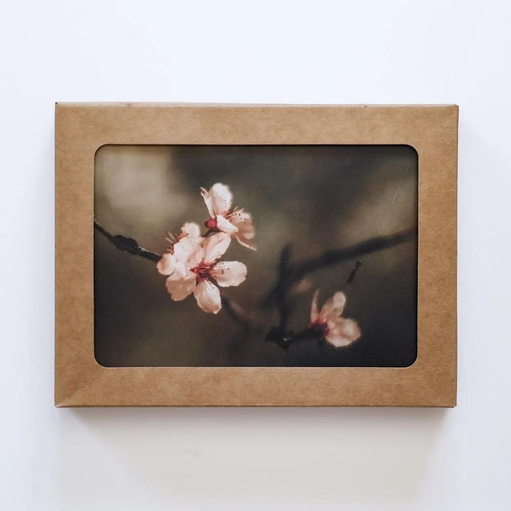Fragility Greeting Cards