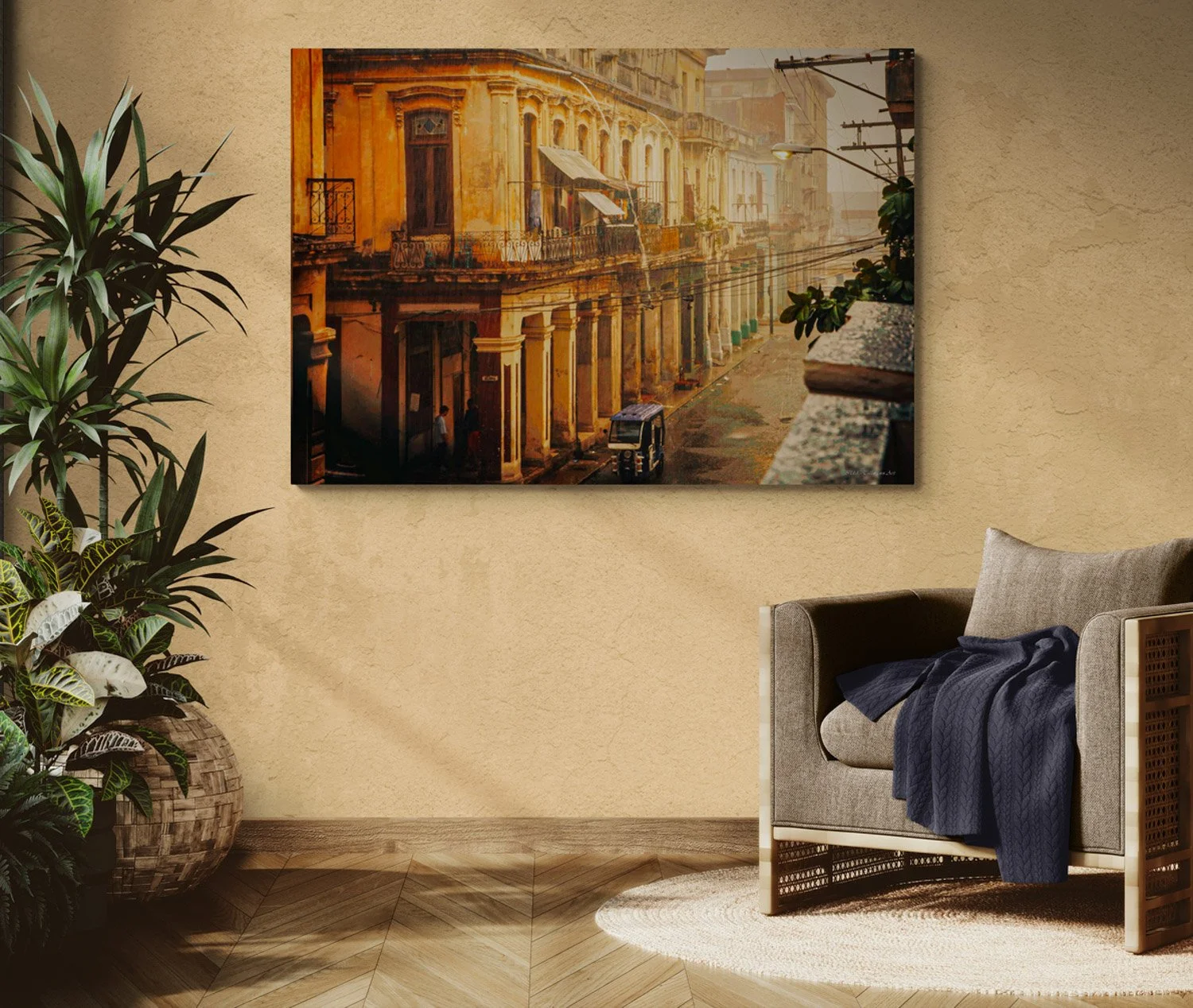 sunlit-room-with-an-armchair-and-tropical-plants (19).jpg