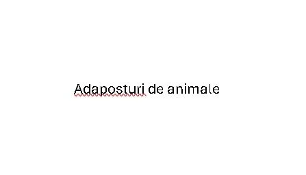 Proiect adăpost de animale din lemn – plan digital descărcabil