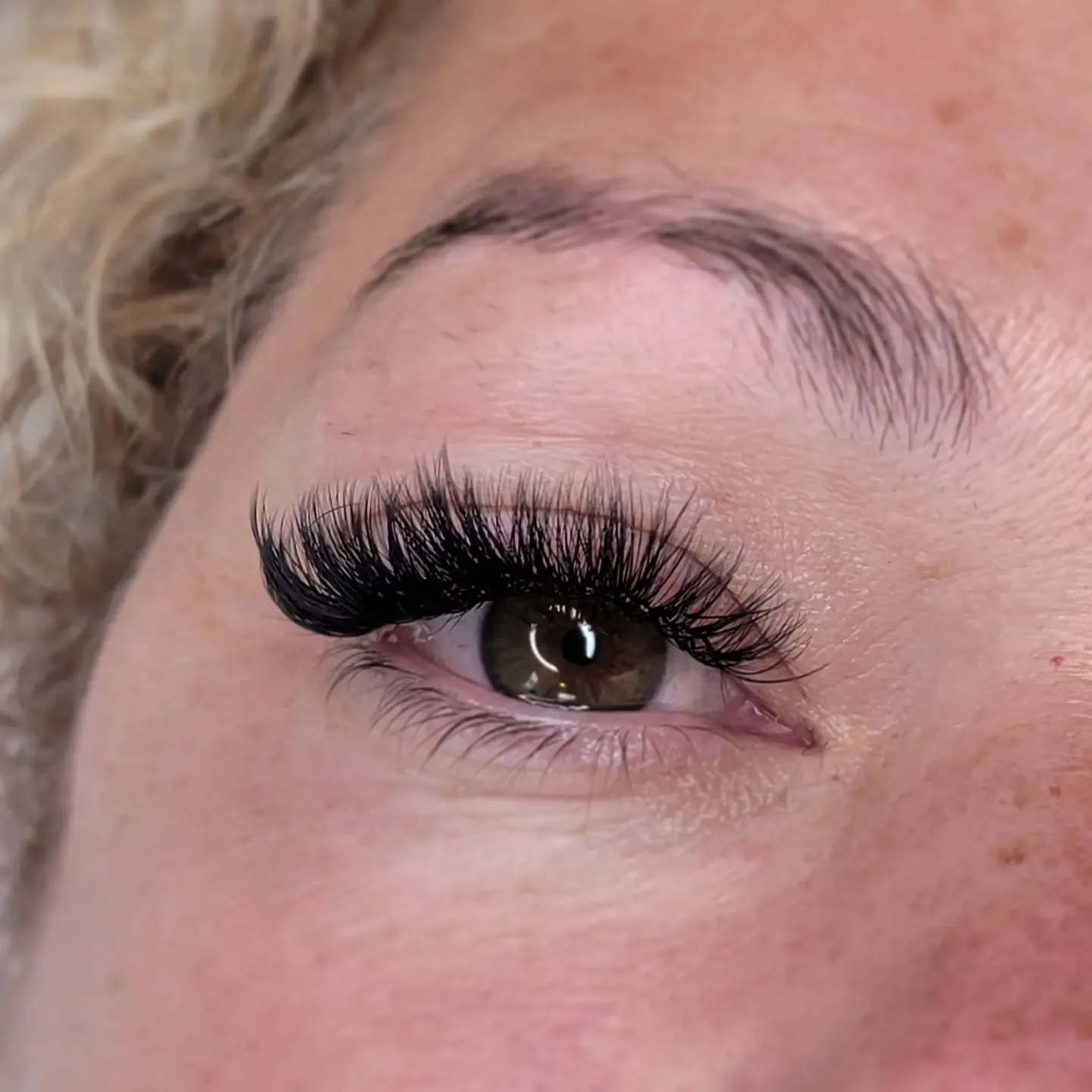 Lashes customized just for you ✨️ come visit me

#njlashextensions #njlashes #volumelashes #somersetcountynj #morristownnj #handmadefans #bedminster #farhillsnj #bedminsternj #lashextensionsnj