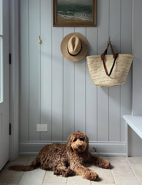 A brown dog lying on a tiled floor near a gray wood-paneled wall, with a straw hat and a woven bag hanging on hooks and a framed picture above.