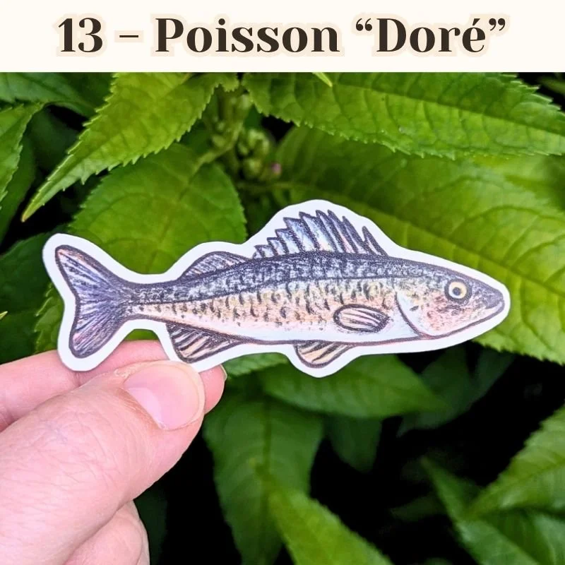 13 Poisson Doré.jpg