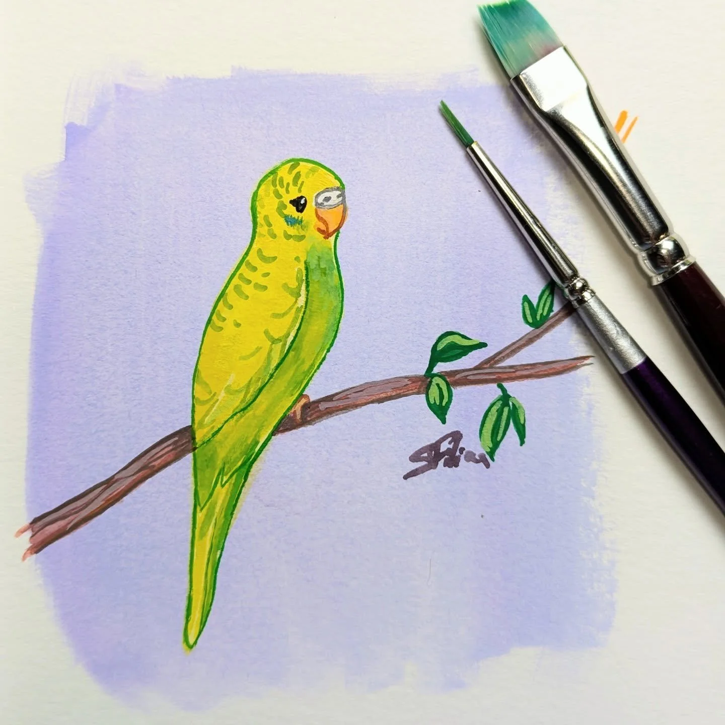 Premier essai de la Gouache Winston Newton :) ma petite perruche Pixel!