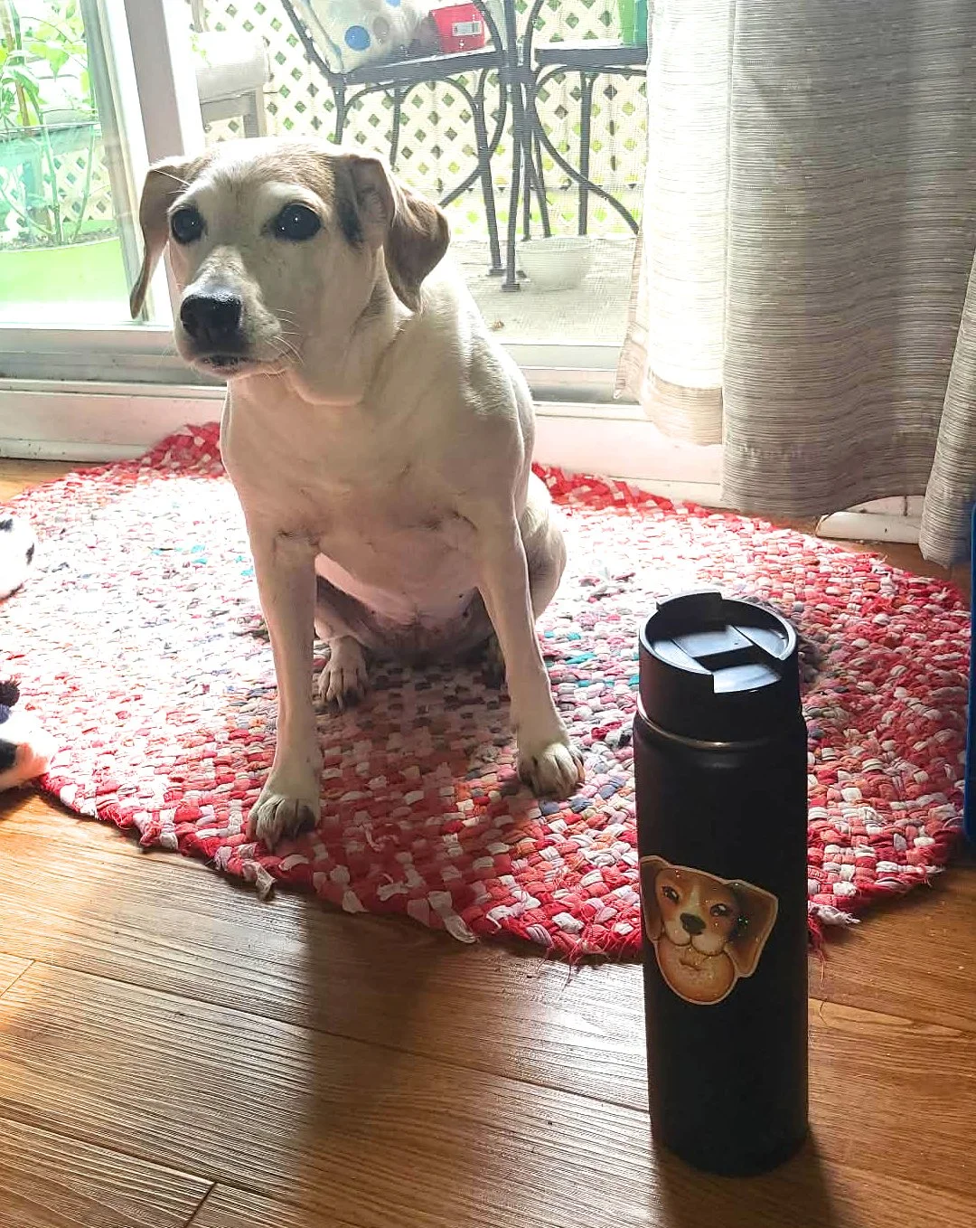 customer photo.jpeg