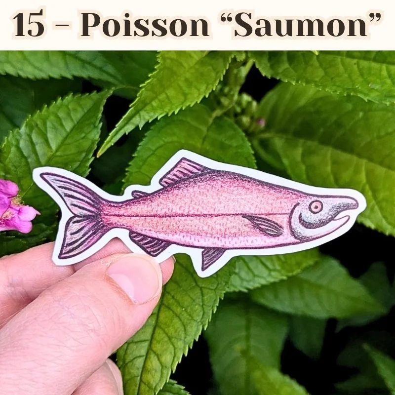 15 Poisson Saumon.jpg