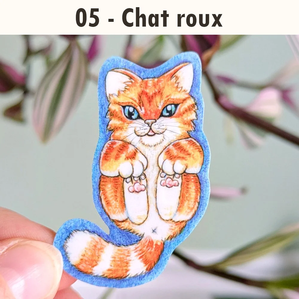 05 chat roux.jpg