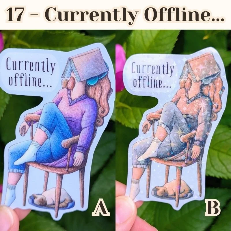 17 Currently offline.jpg