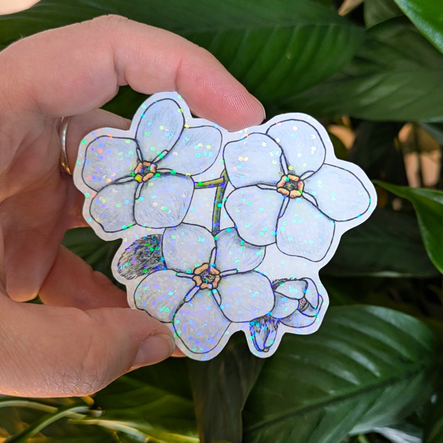 Myosotis Blanc 3 pouces holographique.jpg