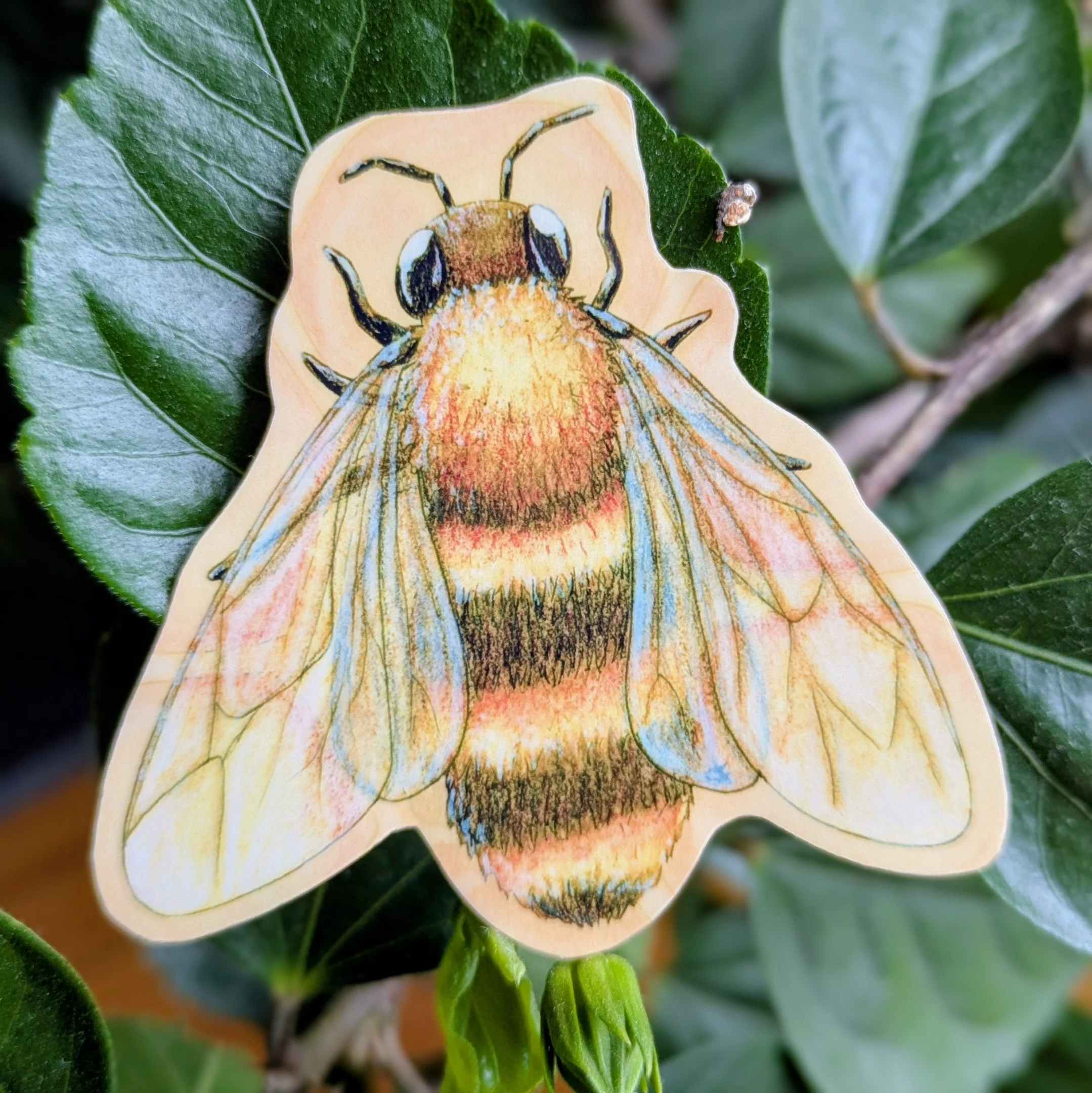 La tavailleuse lustré grand.jpg