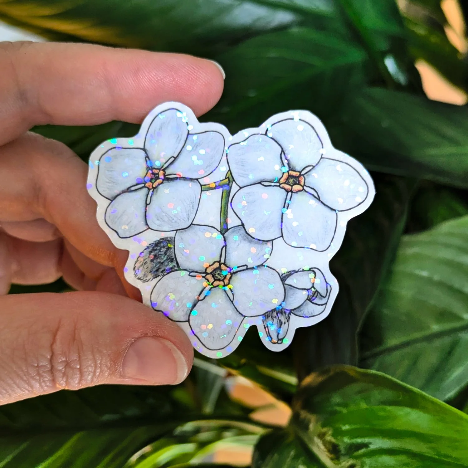 Myosotis Blanc 2 pouces holographique.jpg