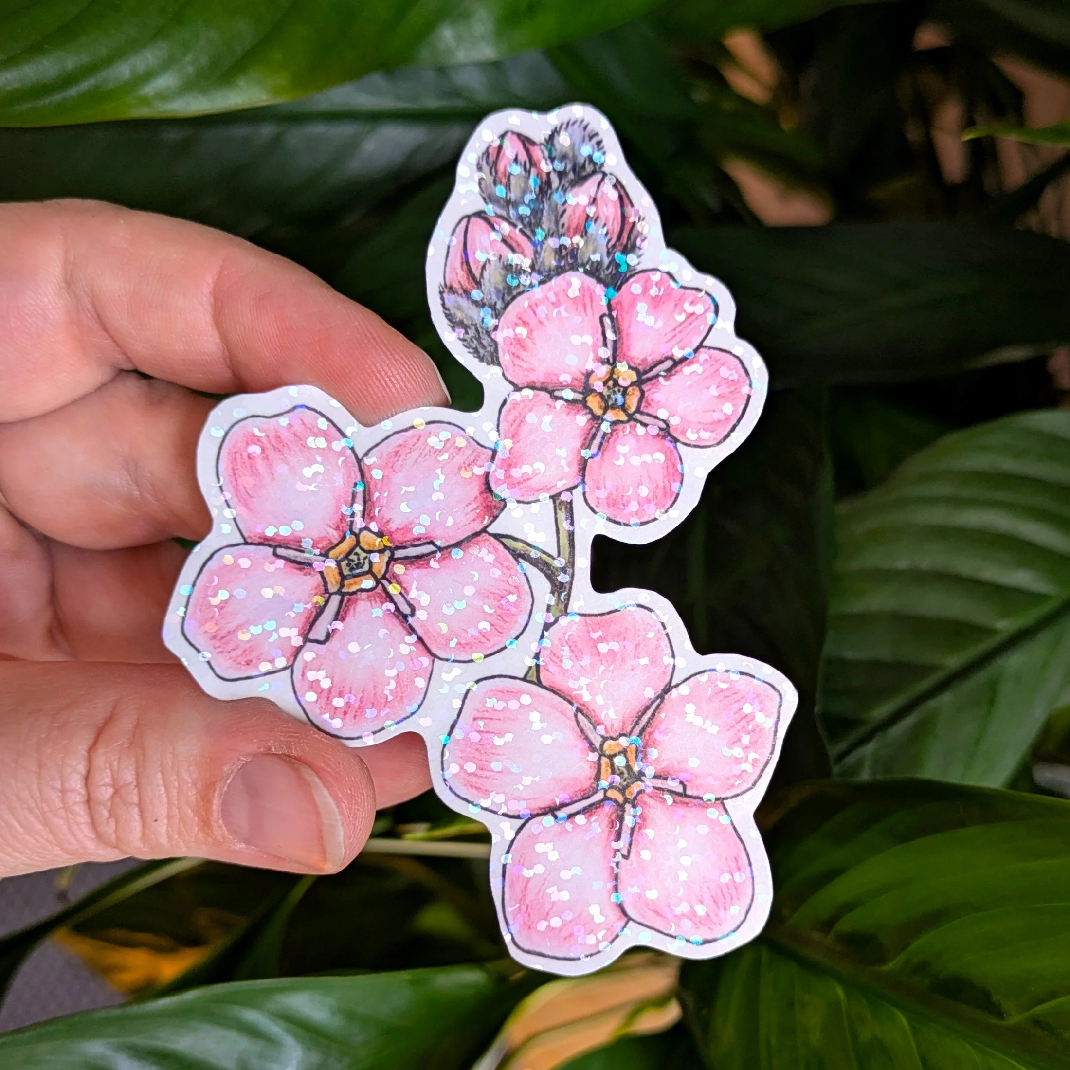 Myosotis Rose 3 pouces holographique.jpg