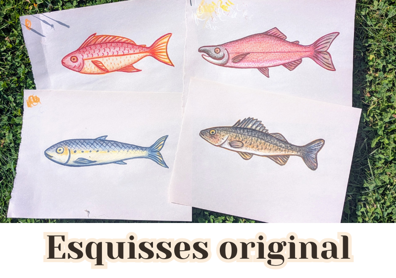 Esquisse poisson.png