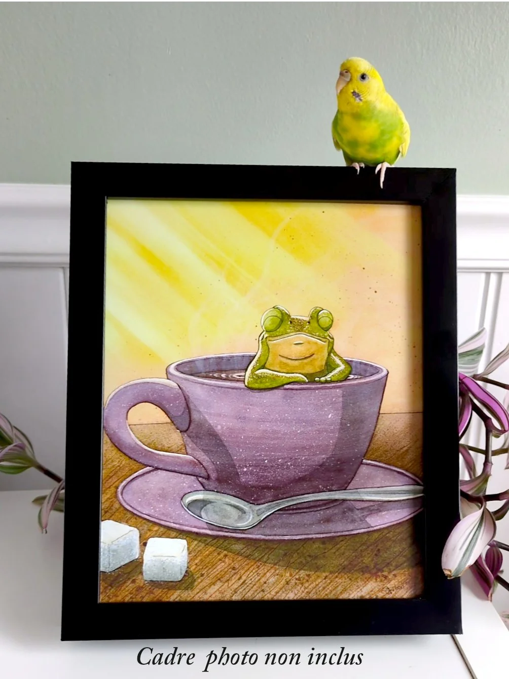 Impression sur papier haut de gamme "Breuvage à la grenouille"