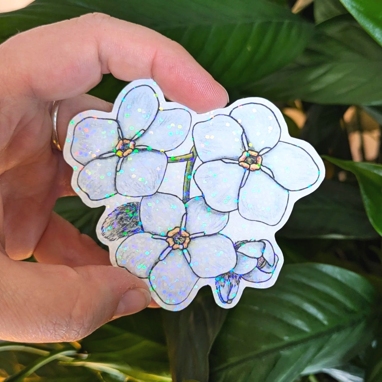 Myosotis+Blanc+3+pouces+holographique.jpg