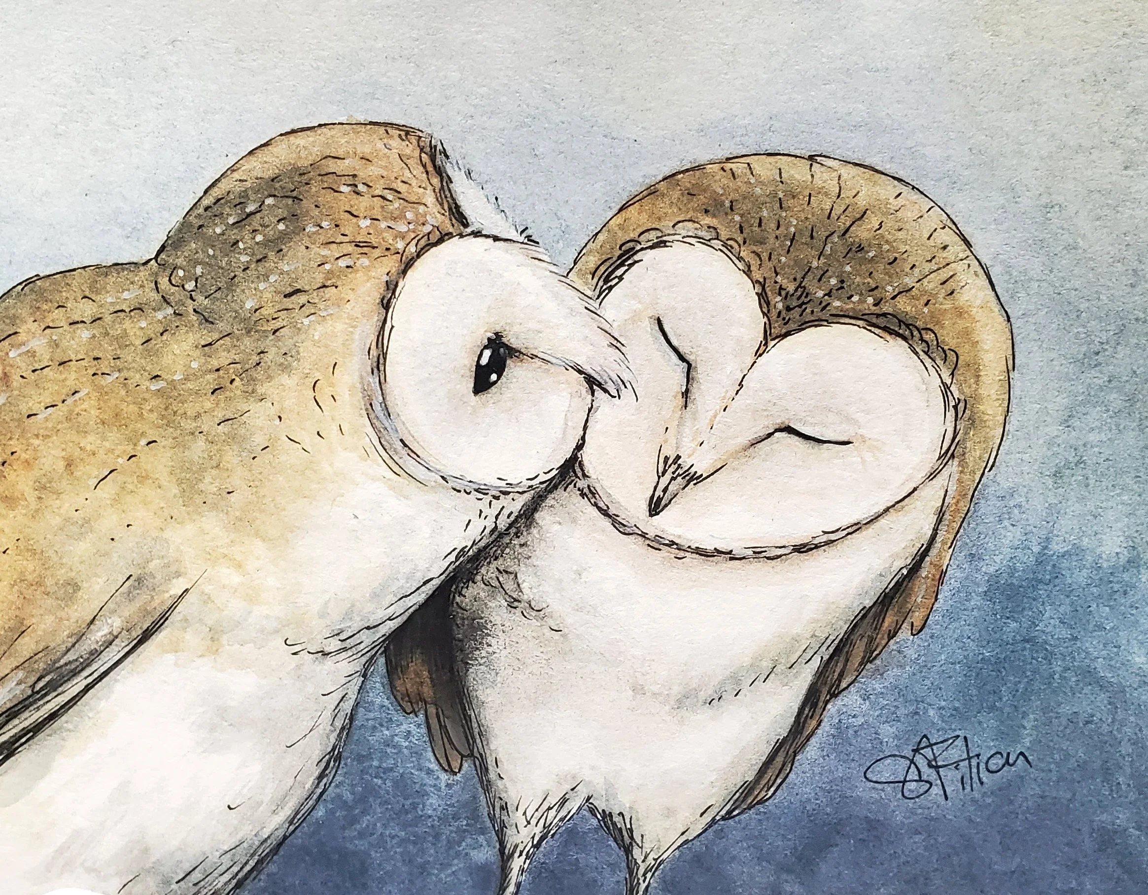 Dessin de deux chouettes face à face formant un cœur.