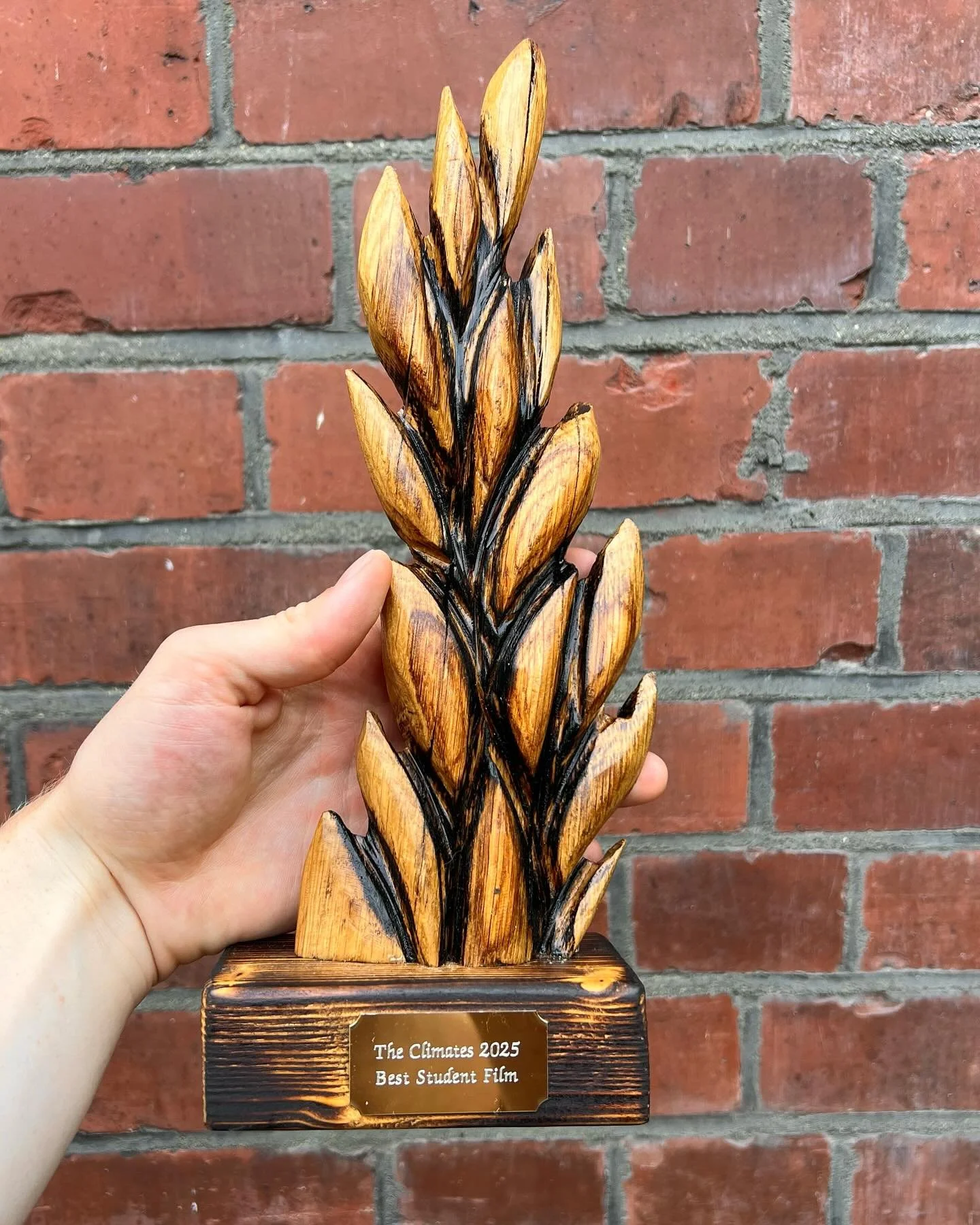 A HUGE thanks you to everyone @climatefilmfestival for this award. Our debut doc has just won &lsquo;Best Student Film&rsquo;! Huge thank you to all the cast and crew that made this possible &amp; to the festival for such kind words and the incredibl