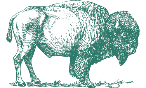Illustration of a buffalo with a large hump on its back, facing to the right. Go Buffalo Bills!
