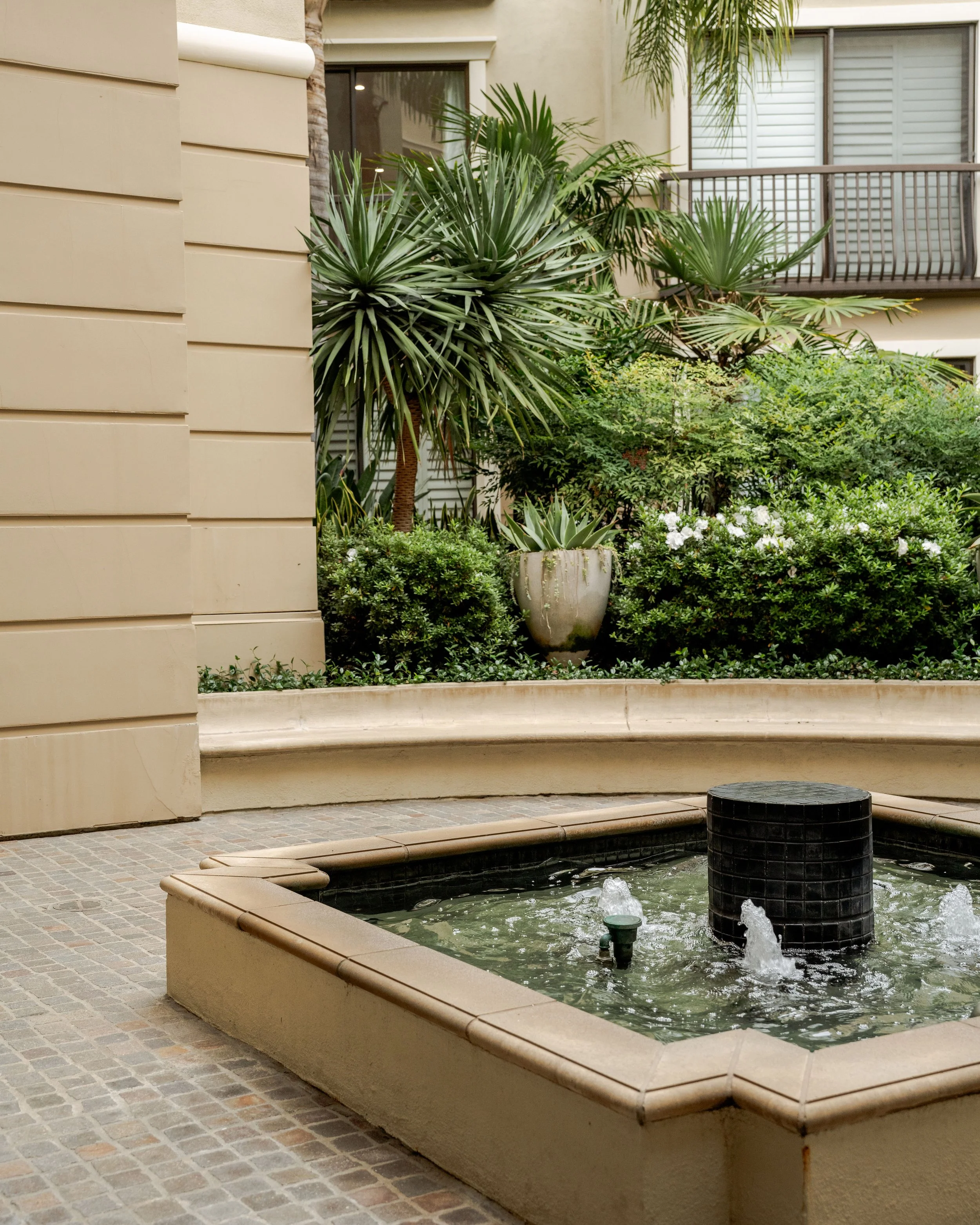 Photo Oct 26 2025, 11 46 34 AM.jpg