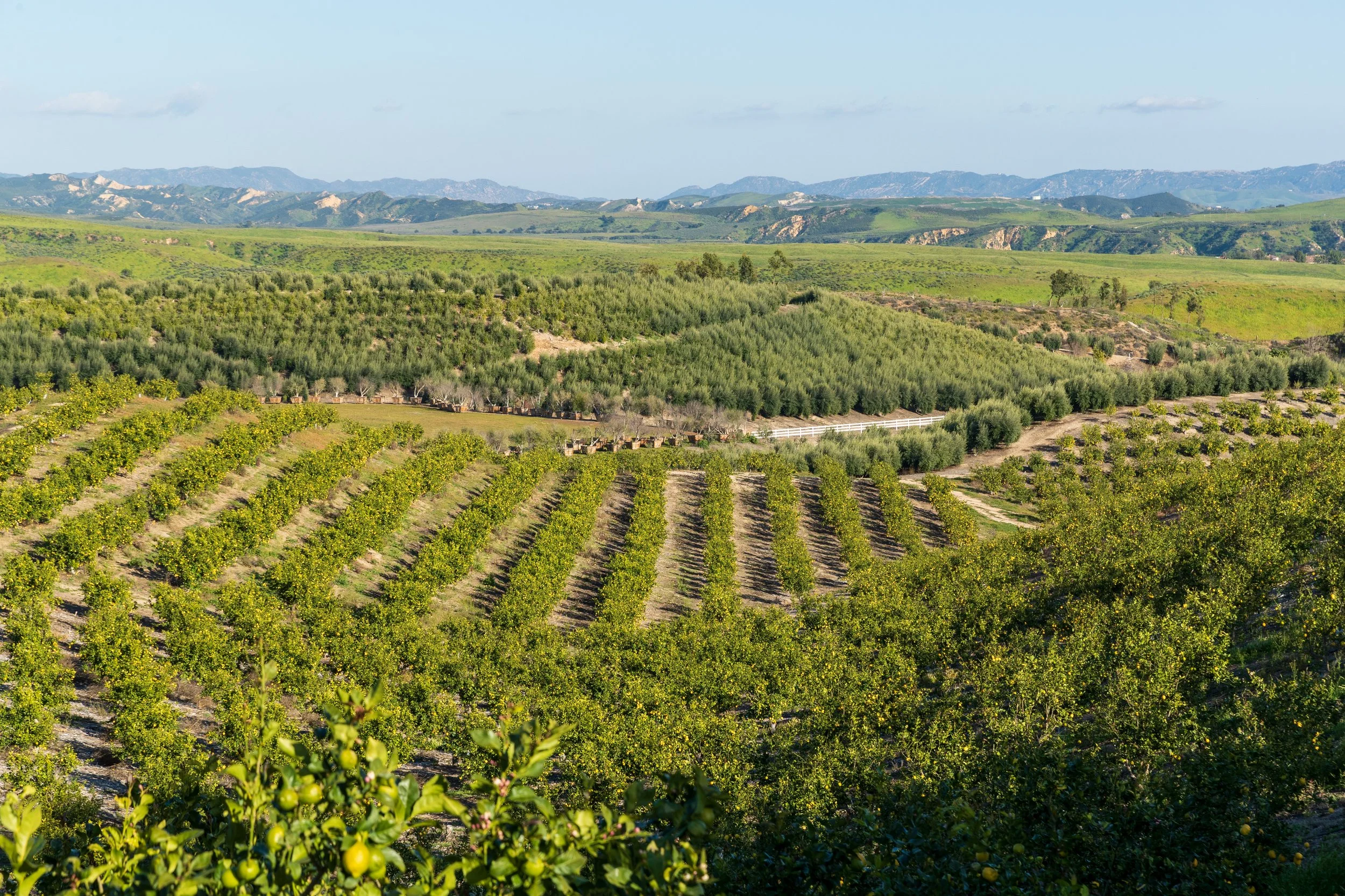 15000 Middle Ranch Rd Print-60.jpg