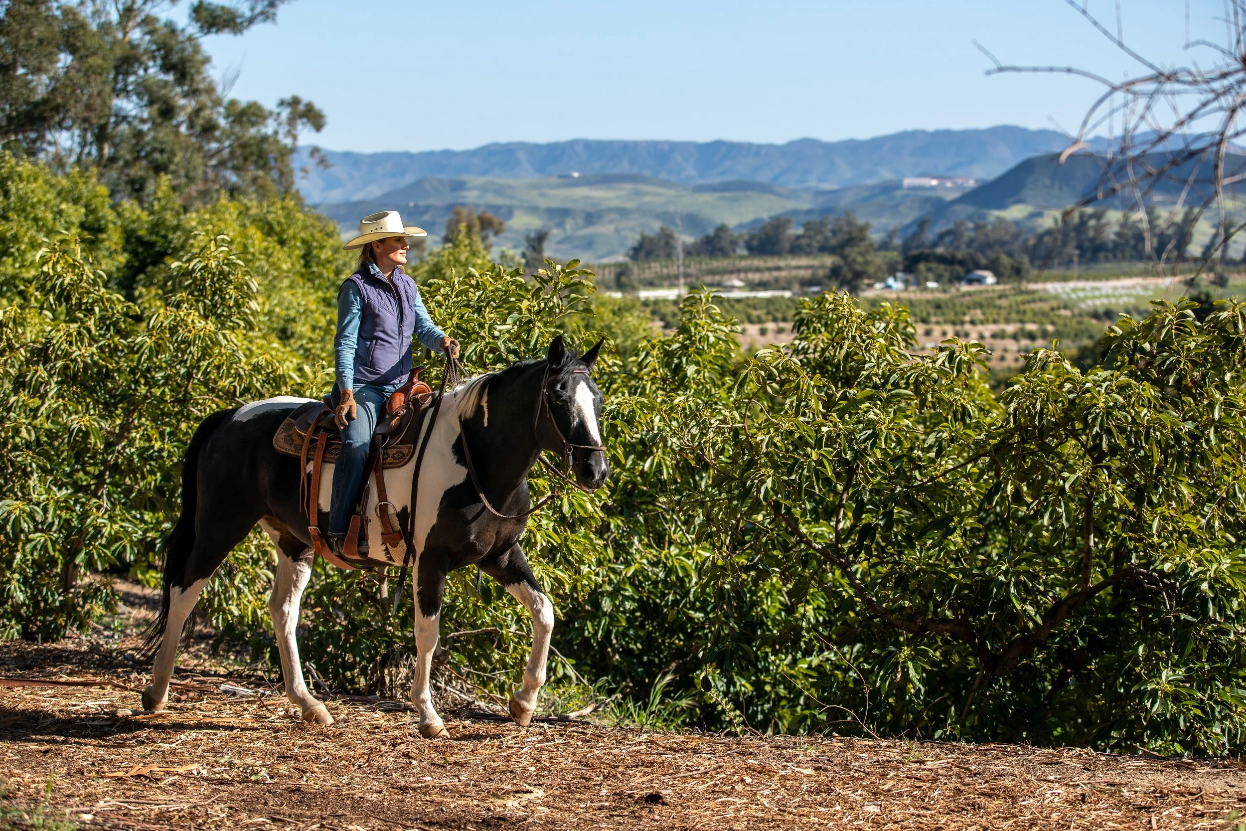 15000 Middle Ranch Rd Print-36.jpg