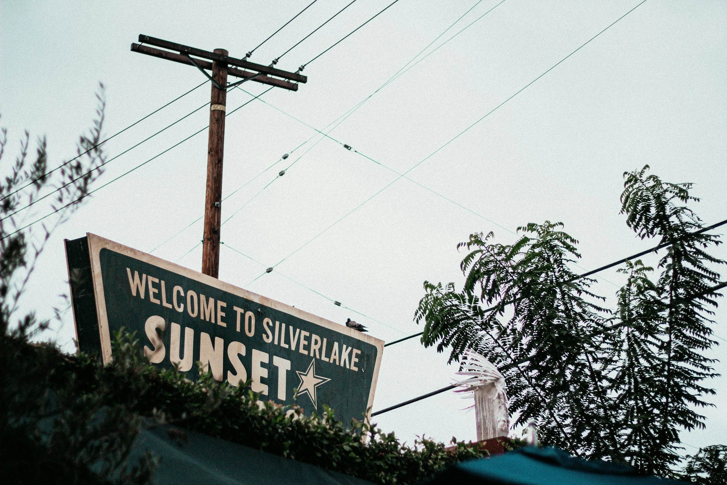 A sign reading 'Welcome to Silverlake Sunset' with a star emblem, partially obscured by trees and bushes, with a utility pole and wires in the background.