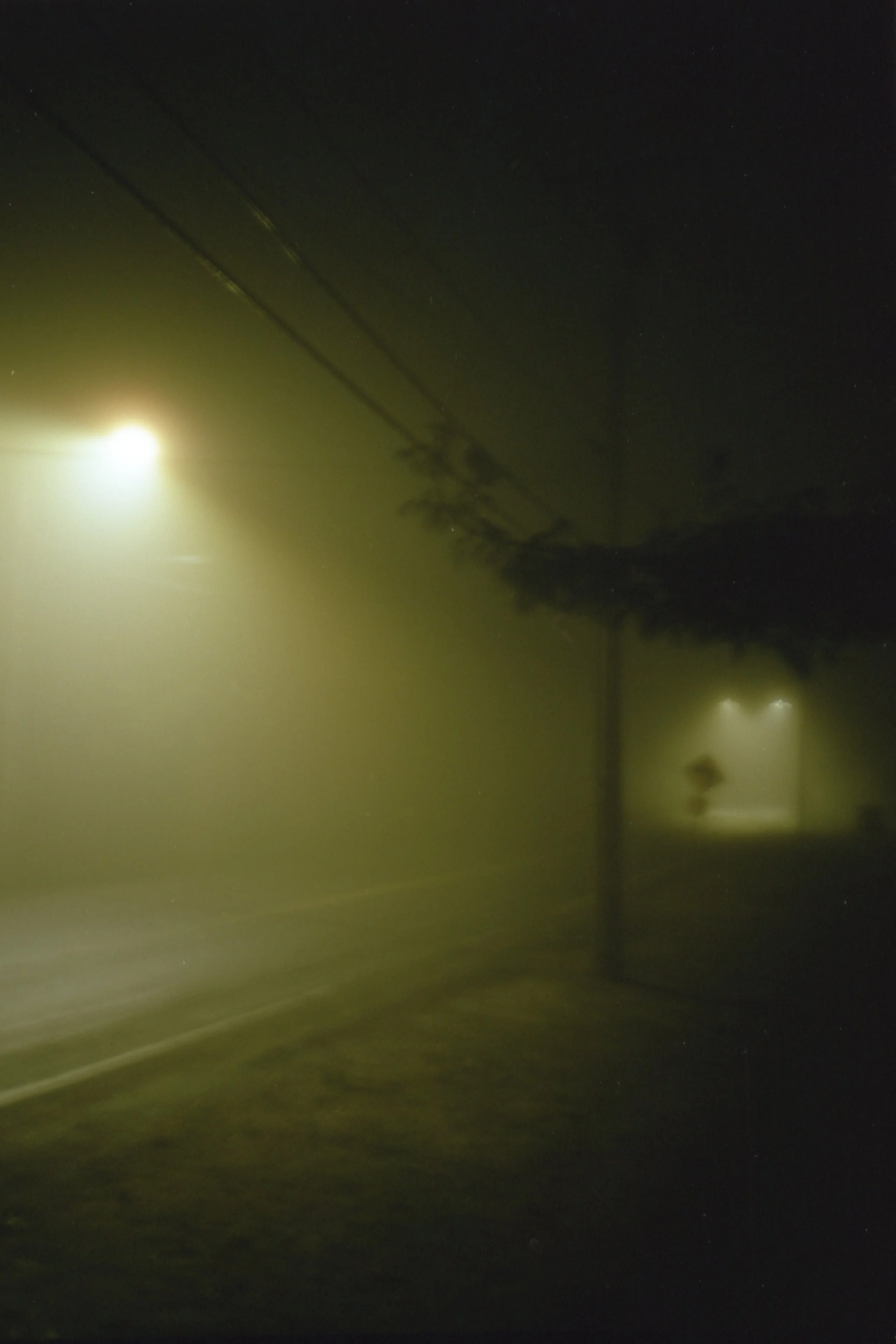 Annandale Road Spring Night Mist.jpg