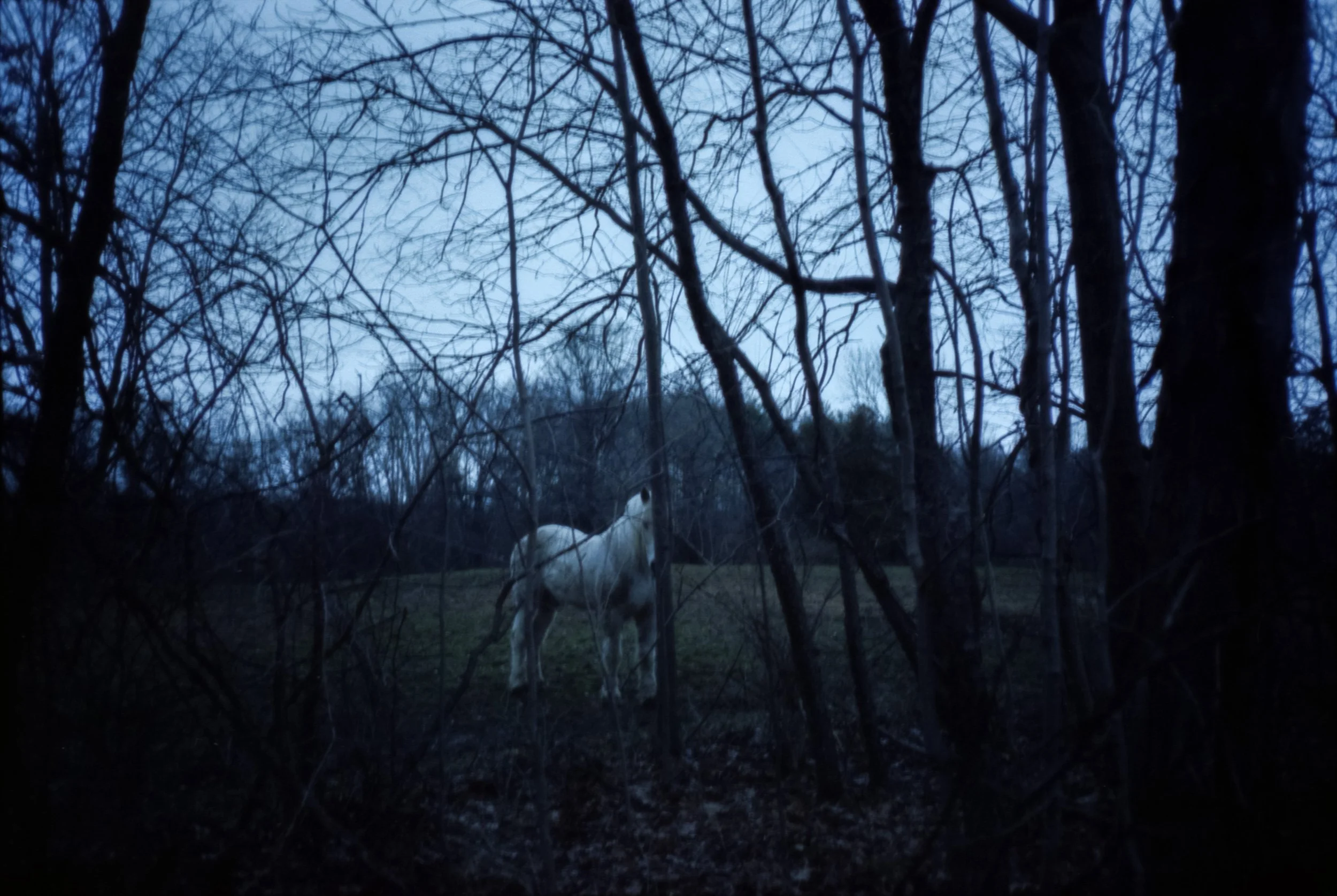 Remember the Unicorn.jpg