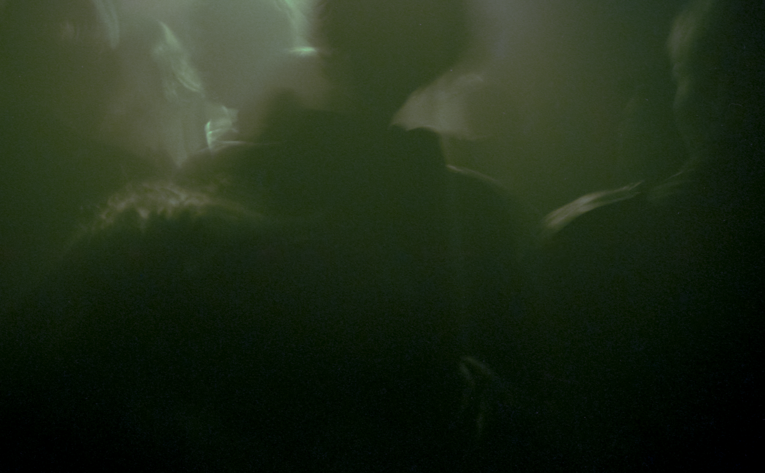 Bella Ciao Green.png