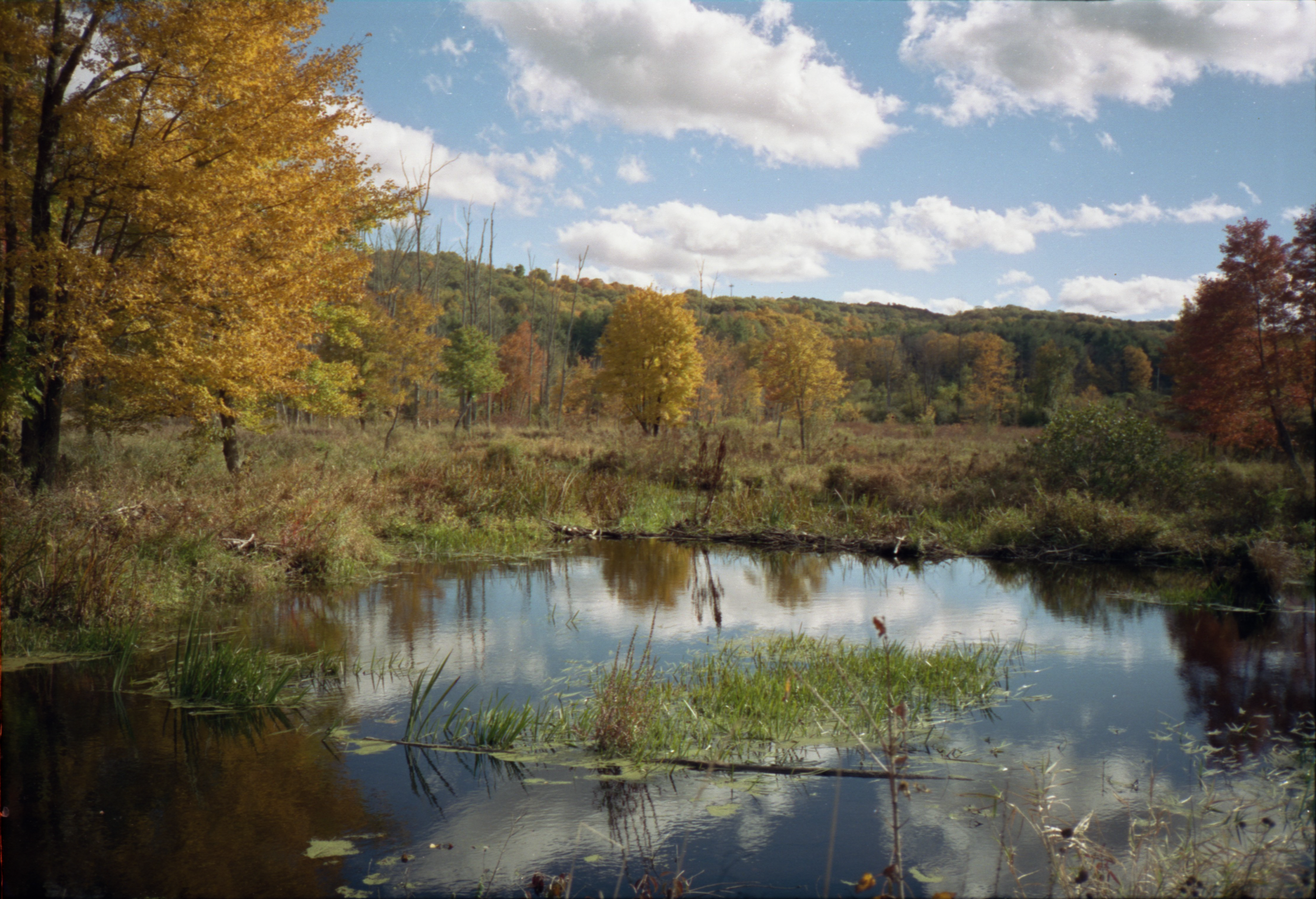 Audobon pond.png