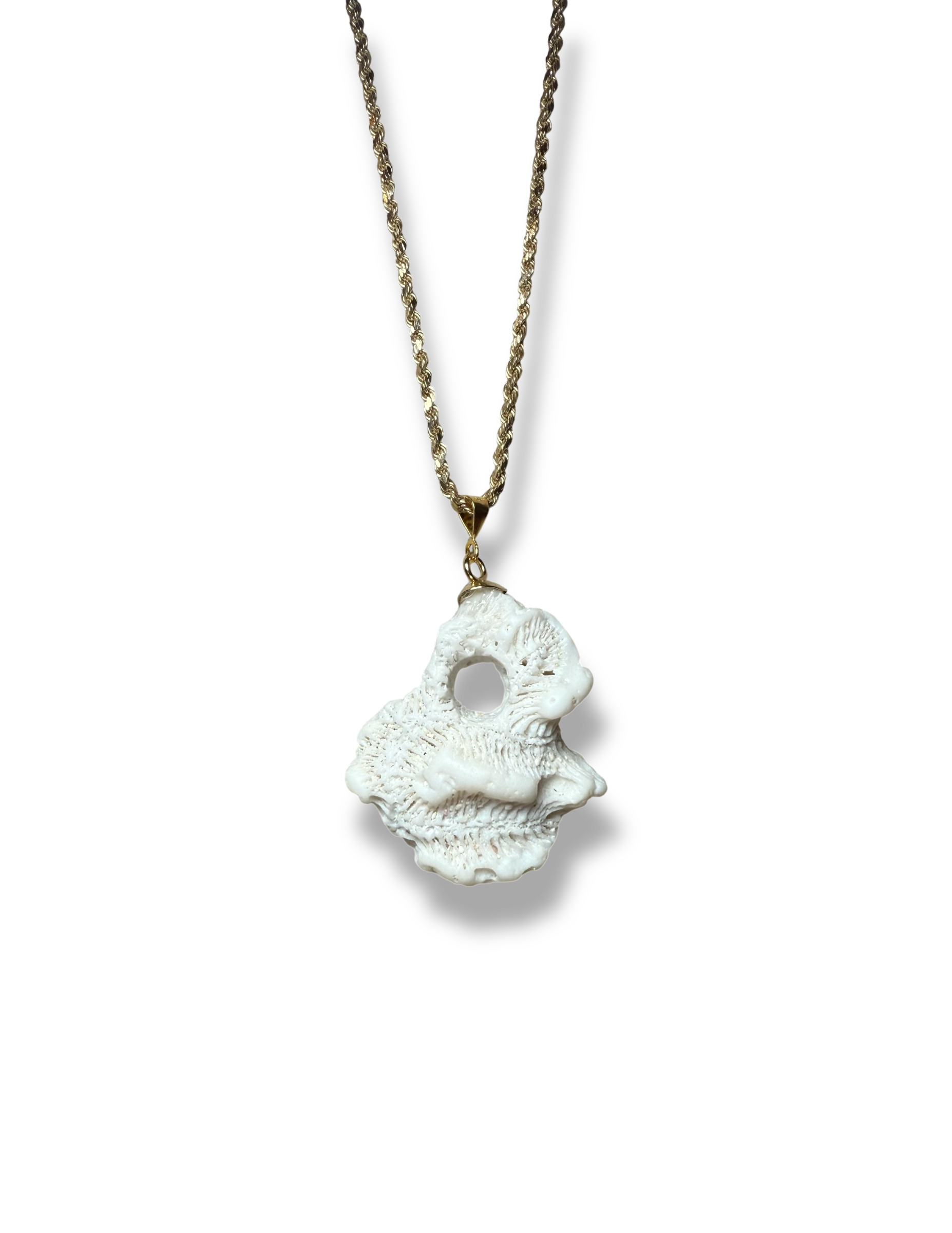 Coral Fragment necklace on recycled 24k gold chain