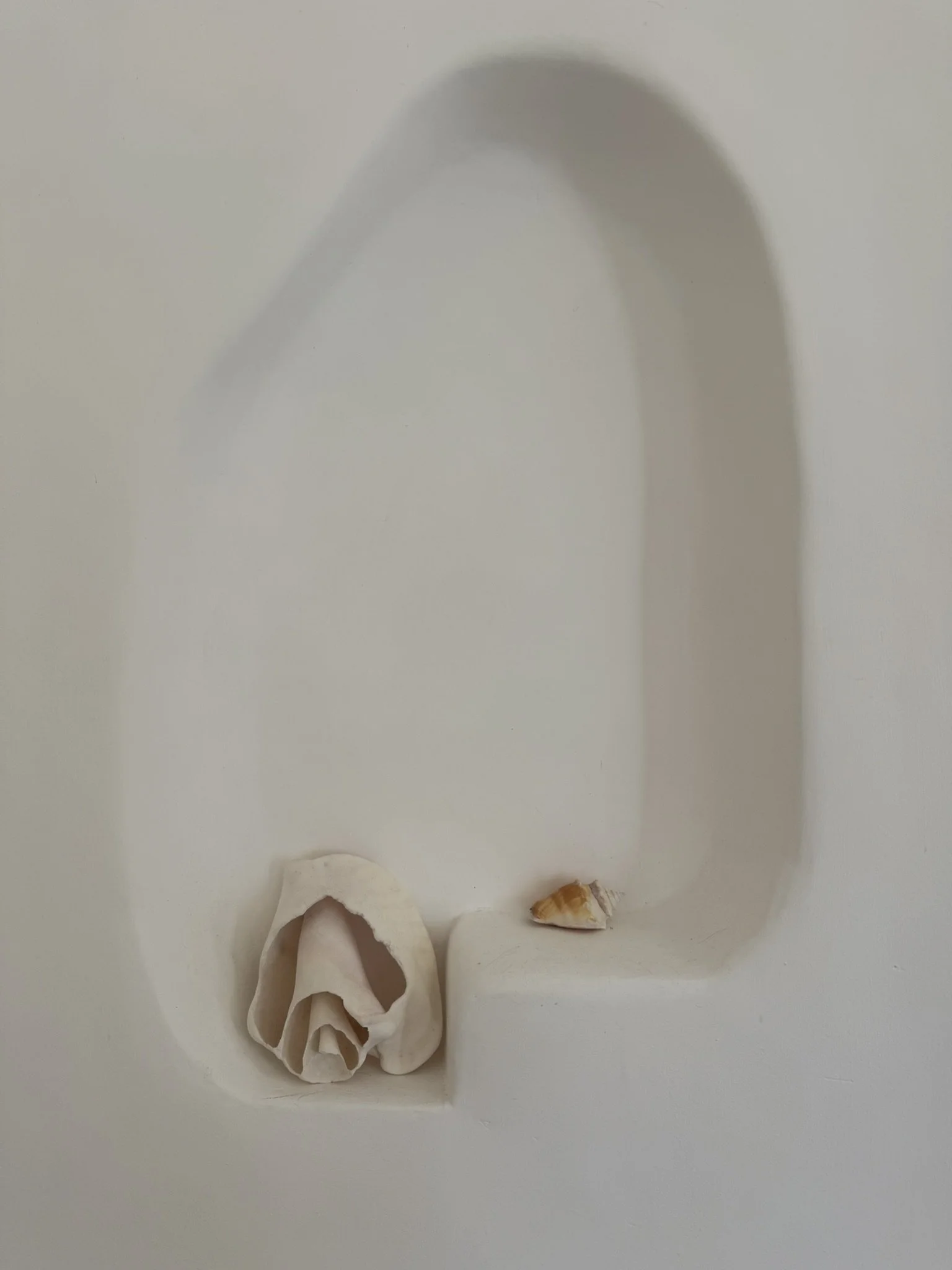A white carved shell and a small seashell resting on a ledge in a minimalist white niche