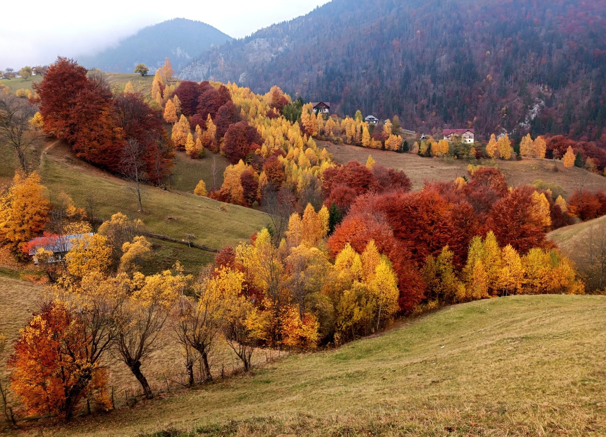 A scenic view of rolling hills covered with colorful autumn trees in shades of red, yellow, orange, and green. Small houses are scattered among the trees, with mountains in the background. The sky is overcast.