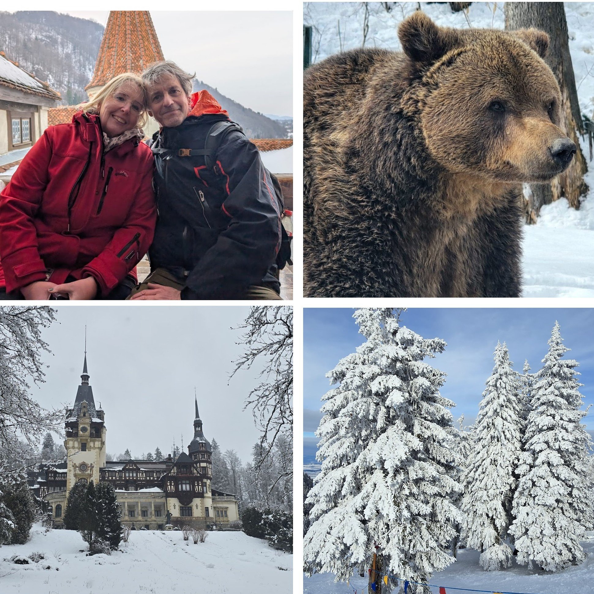 A collage of four winter scenes: top left shows a couple in red jackets taking a selfie in front of a castle with snow on the ground; top right features a close-up of a brown bear in a snowy forest; bottom left displays a historic building with a tall spire surrounded by snow-covered trees; bottom right depicts snow-laden evergreen trees under a blue sky.