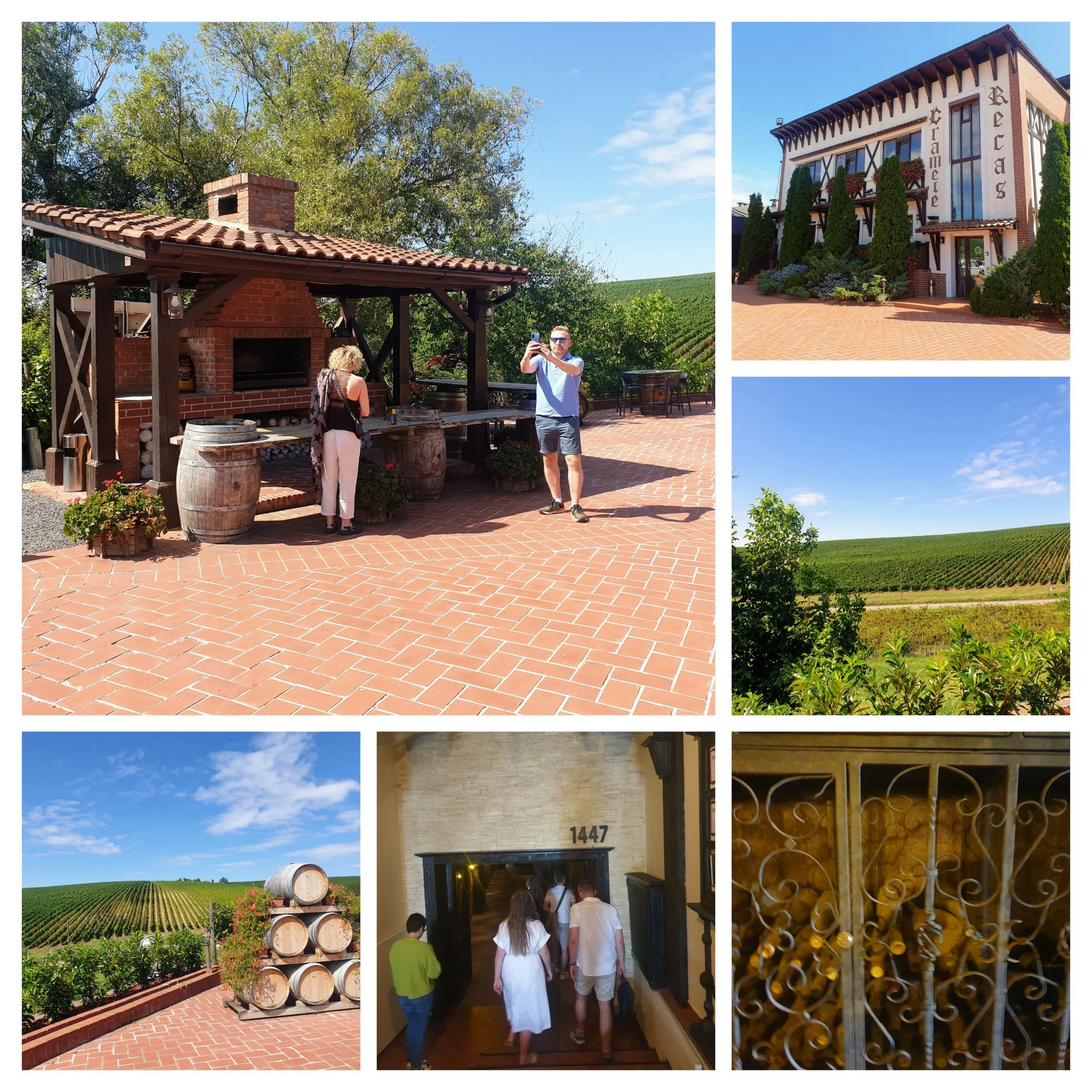 Various images of a winery and vineyard with people touring, including a brick building with a sign that says 'Creme de la Crema' and a cellar entrance with a line of visitors, surrounded by lush greenery and wine barrels.