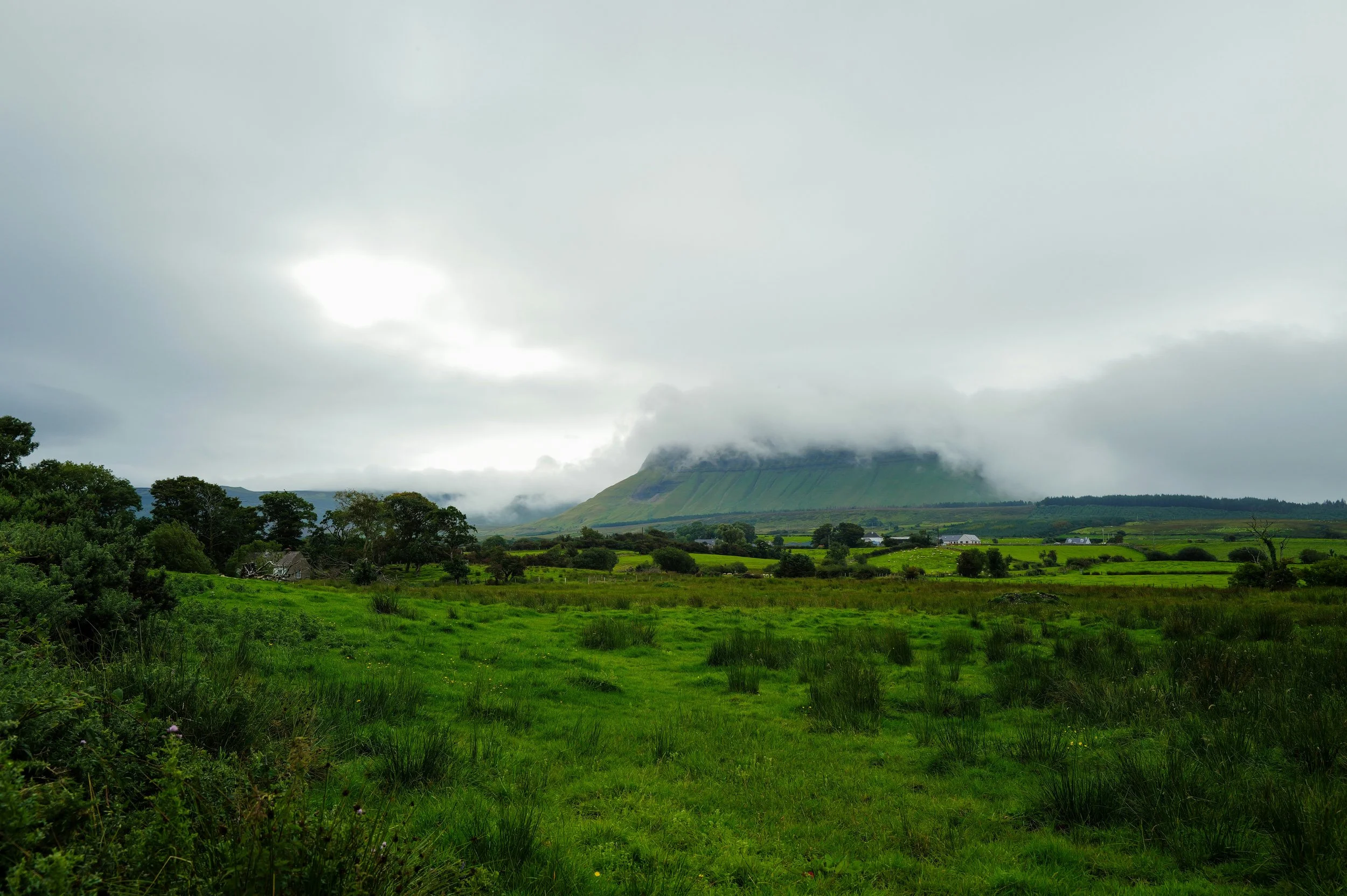 A lush green field with scattered trees, a small house, and a misty mountain in the background partially covered by clouds.