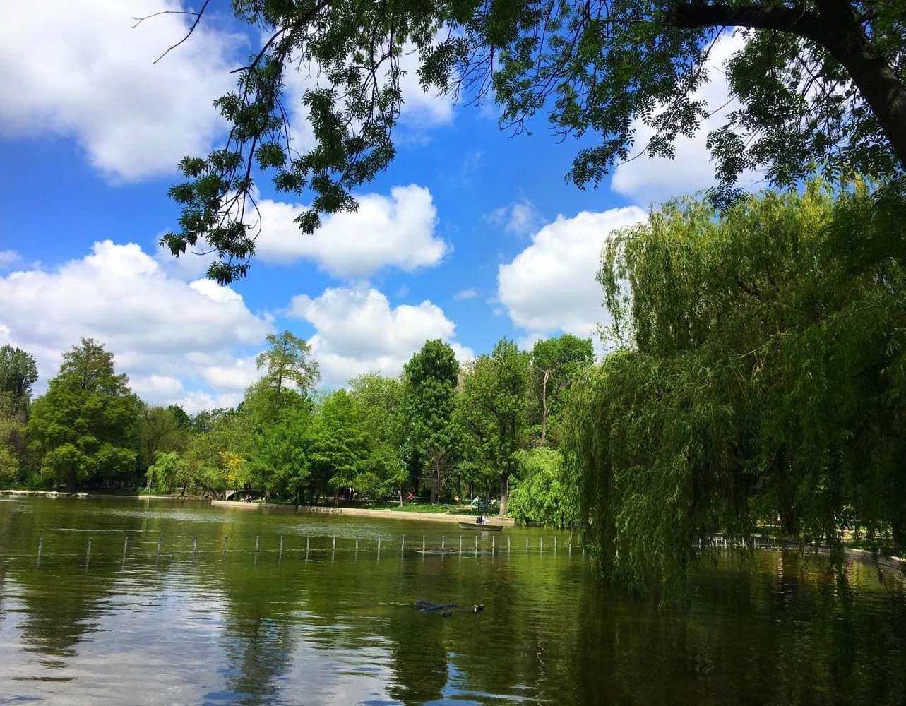 Cismigiu Park.jpg
