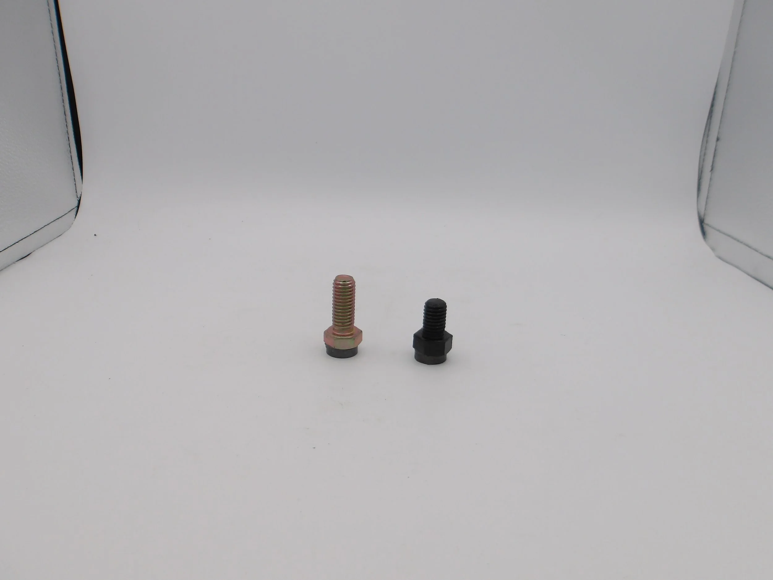 100_3019.JPG